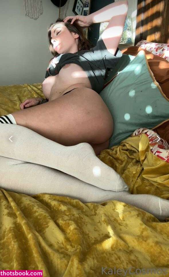 Wineoperator winerator Nude OnlyFans Photos #13 1252853