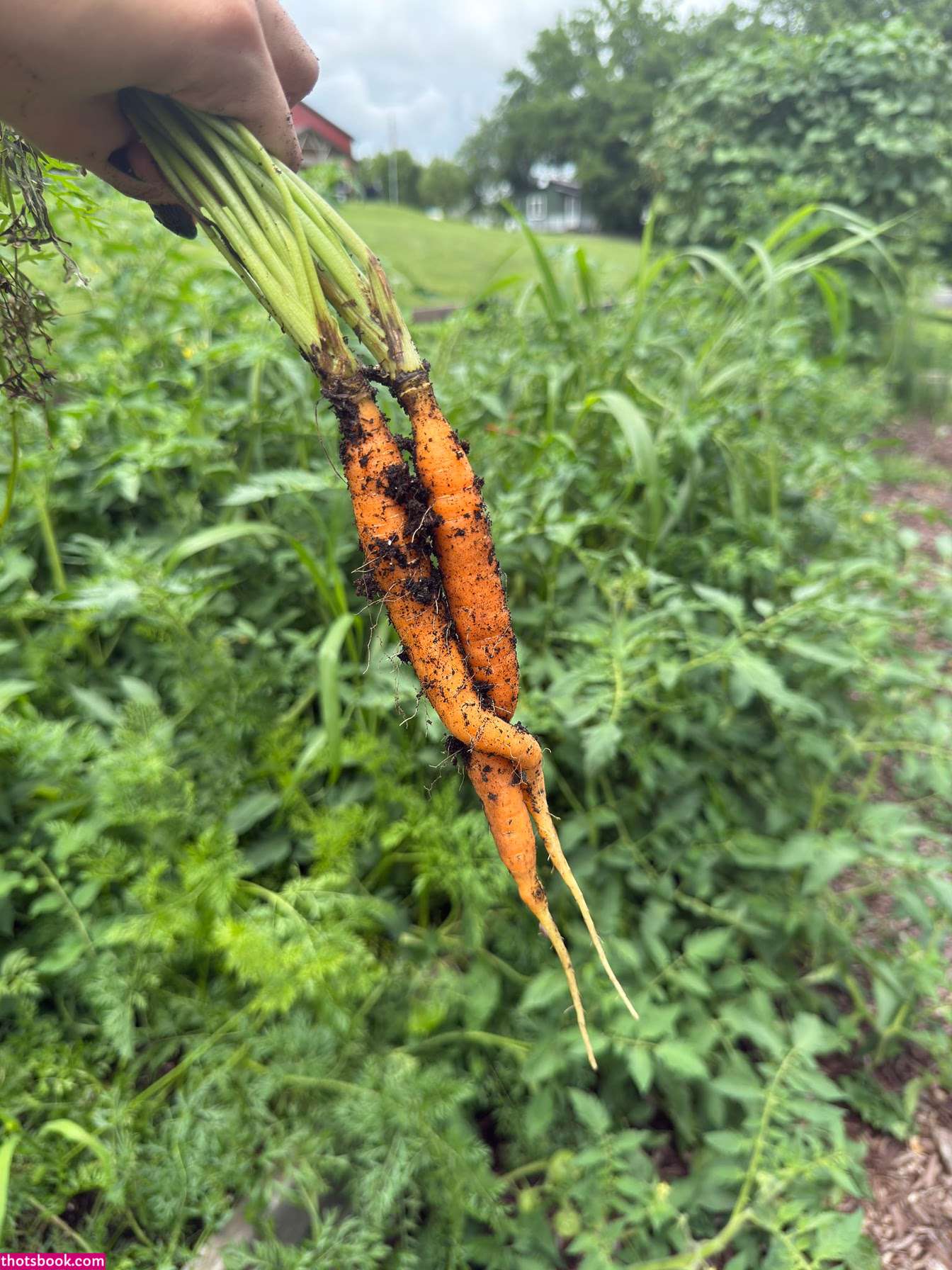 jxunfiltered Nude Leaks OnlyFans Photos #3 1823558