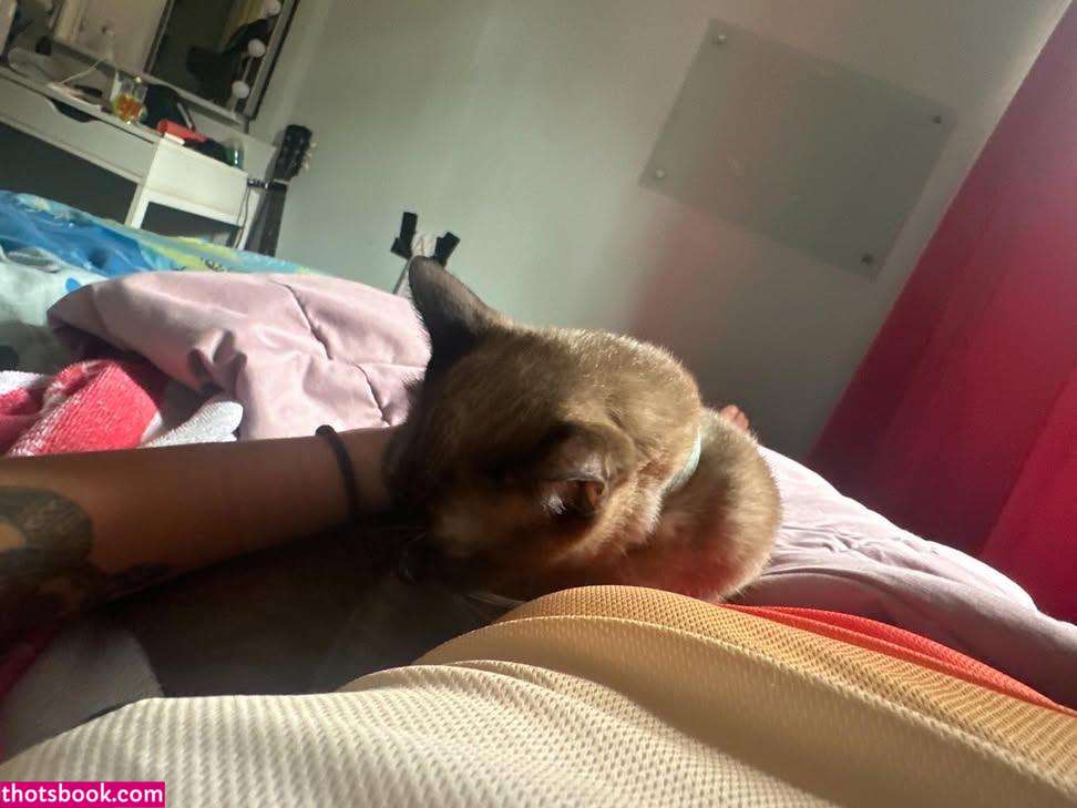 Colleen Augustin Nude Leaks OnlyFans Photos #3 1830687