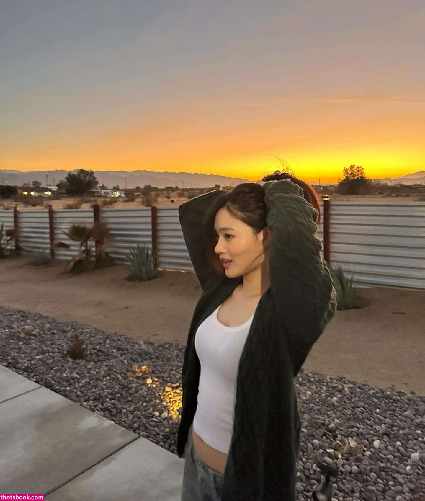 Sarah Hwang Nude Leaks OnlyFans Photos #3 1849540