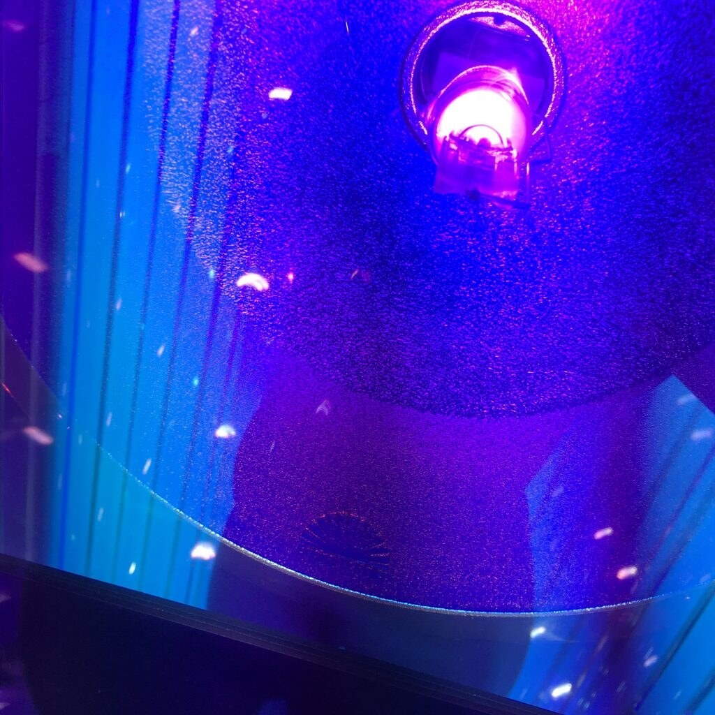 Dylan Penn Leaked Nude Photos 7380