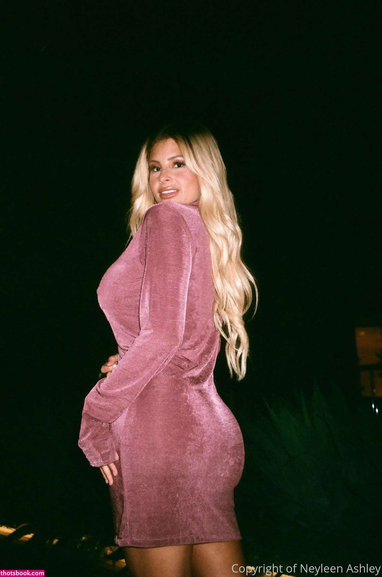 Neyleen Ashley Nude OnlyFans Photos #5 373875