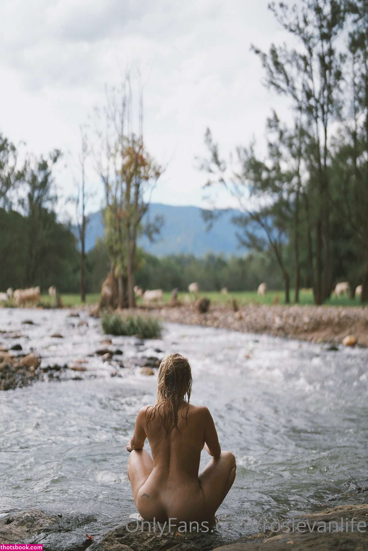 rosievanlife Nude OnlyFans Photos #1 361874