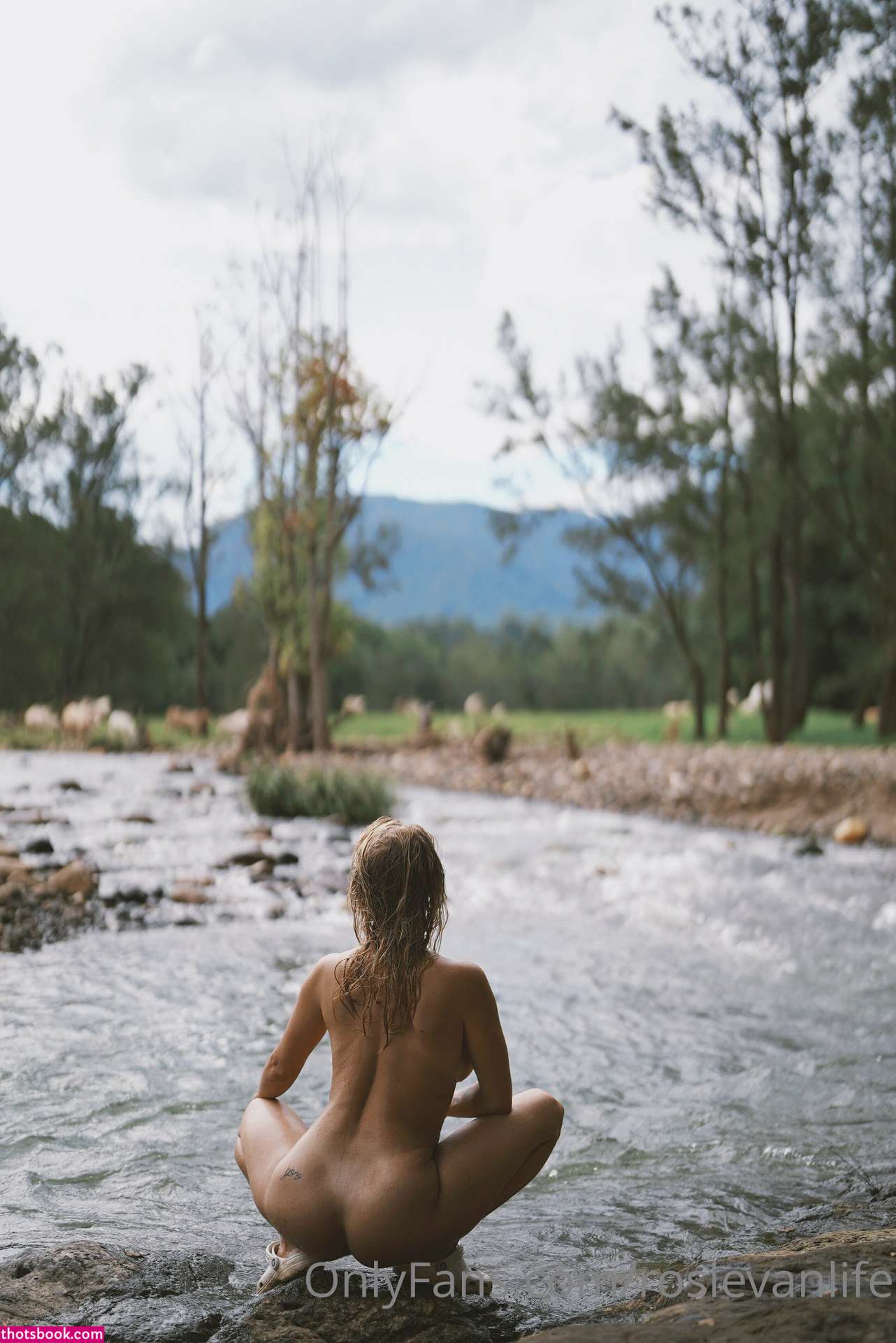 rosievanlife Nude OnlyFans Photos #1 361875