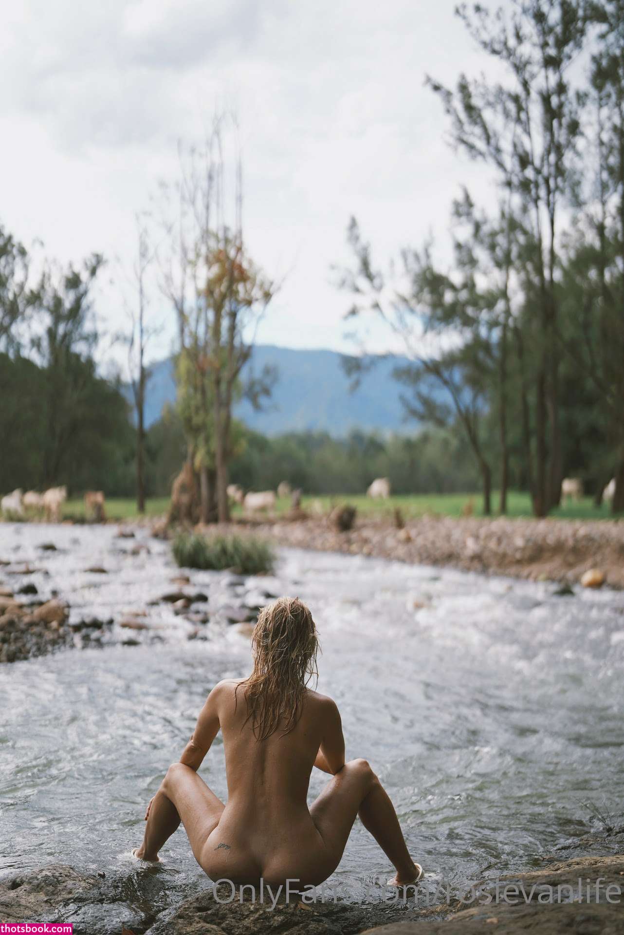 rosievanlife Nude OnlyFans Photos #1 361886