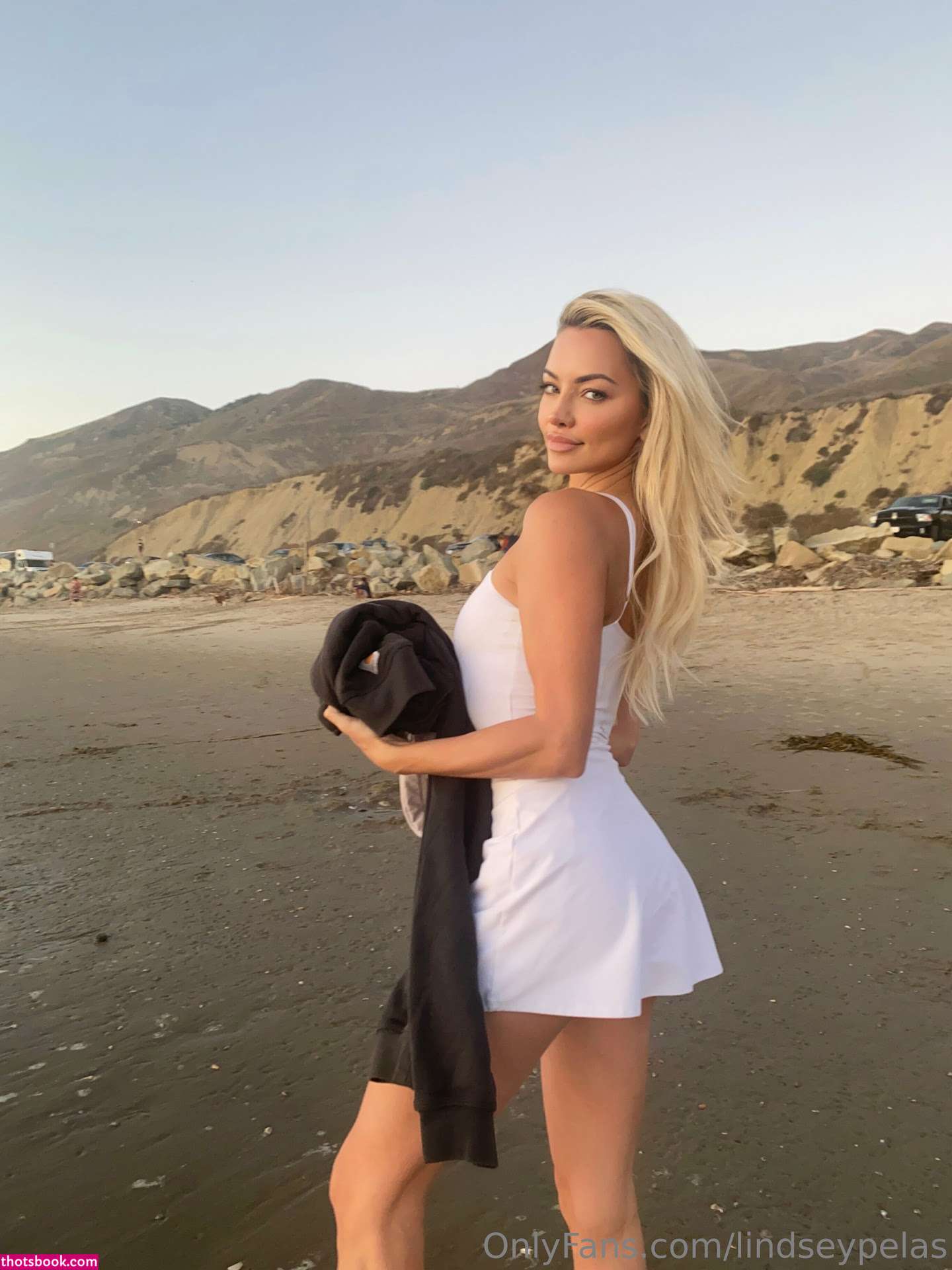 Lindsey Pelas Nude OnlyFans Photos #45 371660