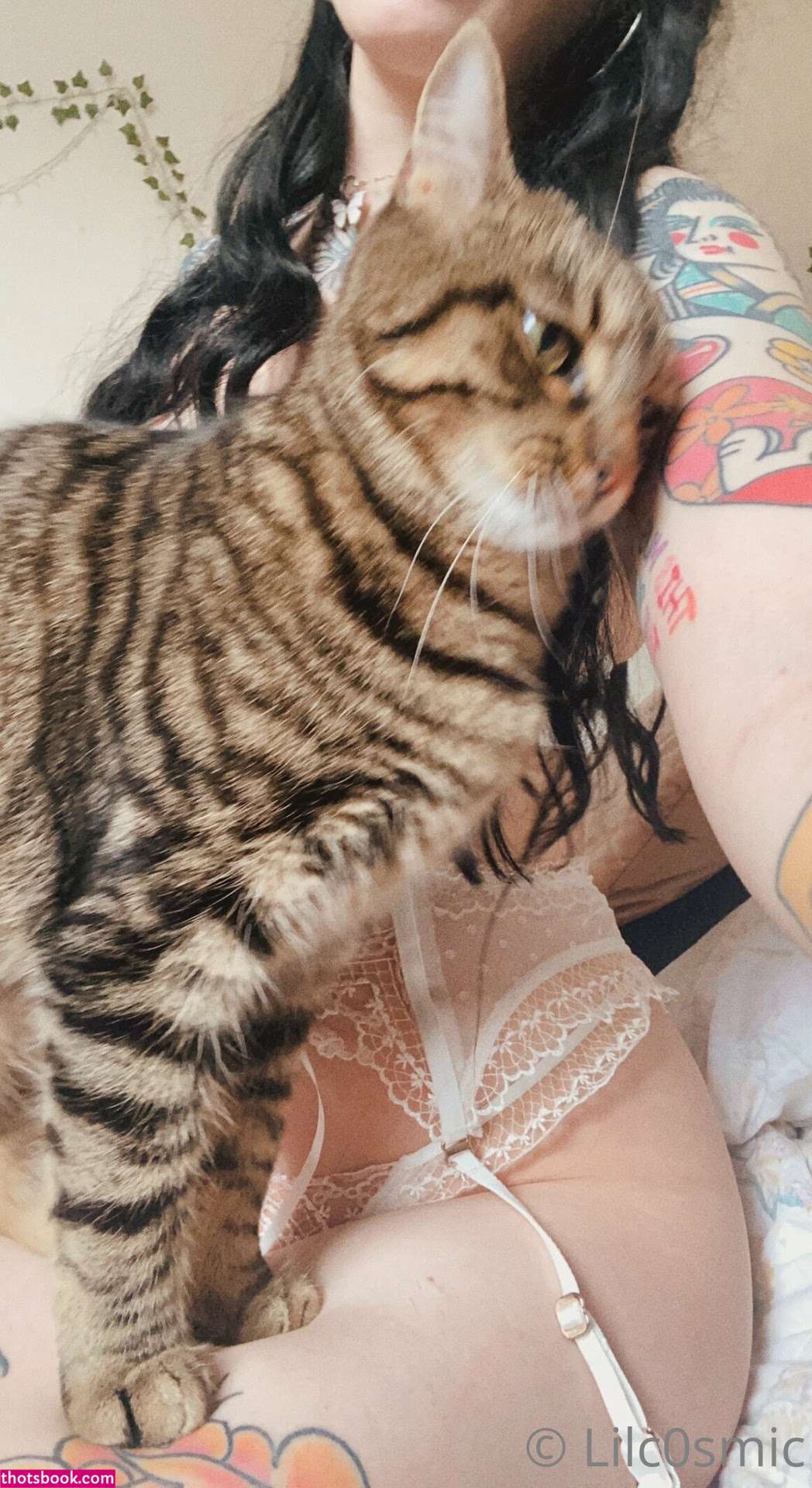 CosmicCreatures  lilcosmic Nude OnlyFans Photos #2 342221