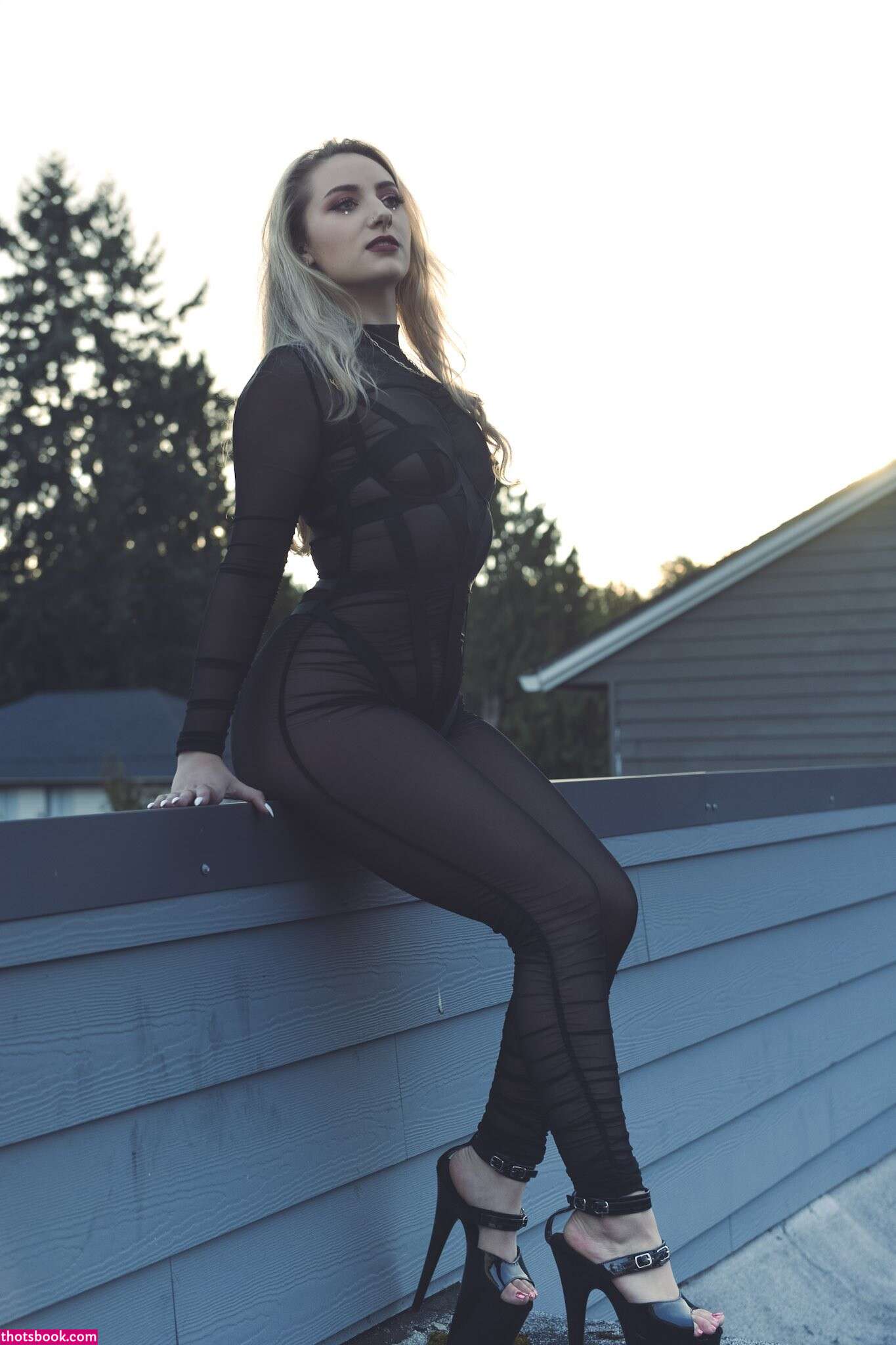 Ava Onyx Nude OnlyFans Photos #1 351171