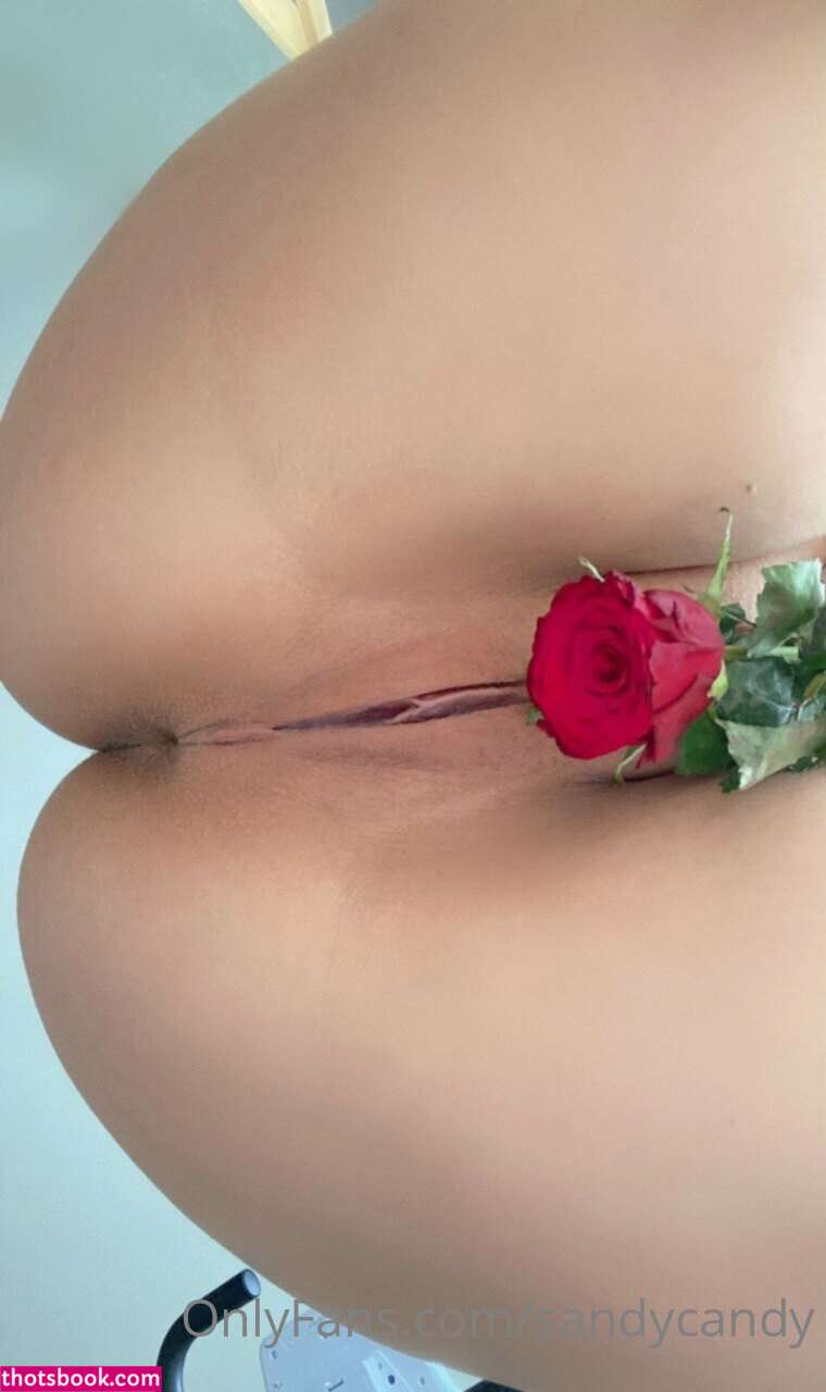 SandyCandy  Realsandycandy  Sandycandyofficial Nude OnlyFans Photos #7 341245