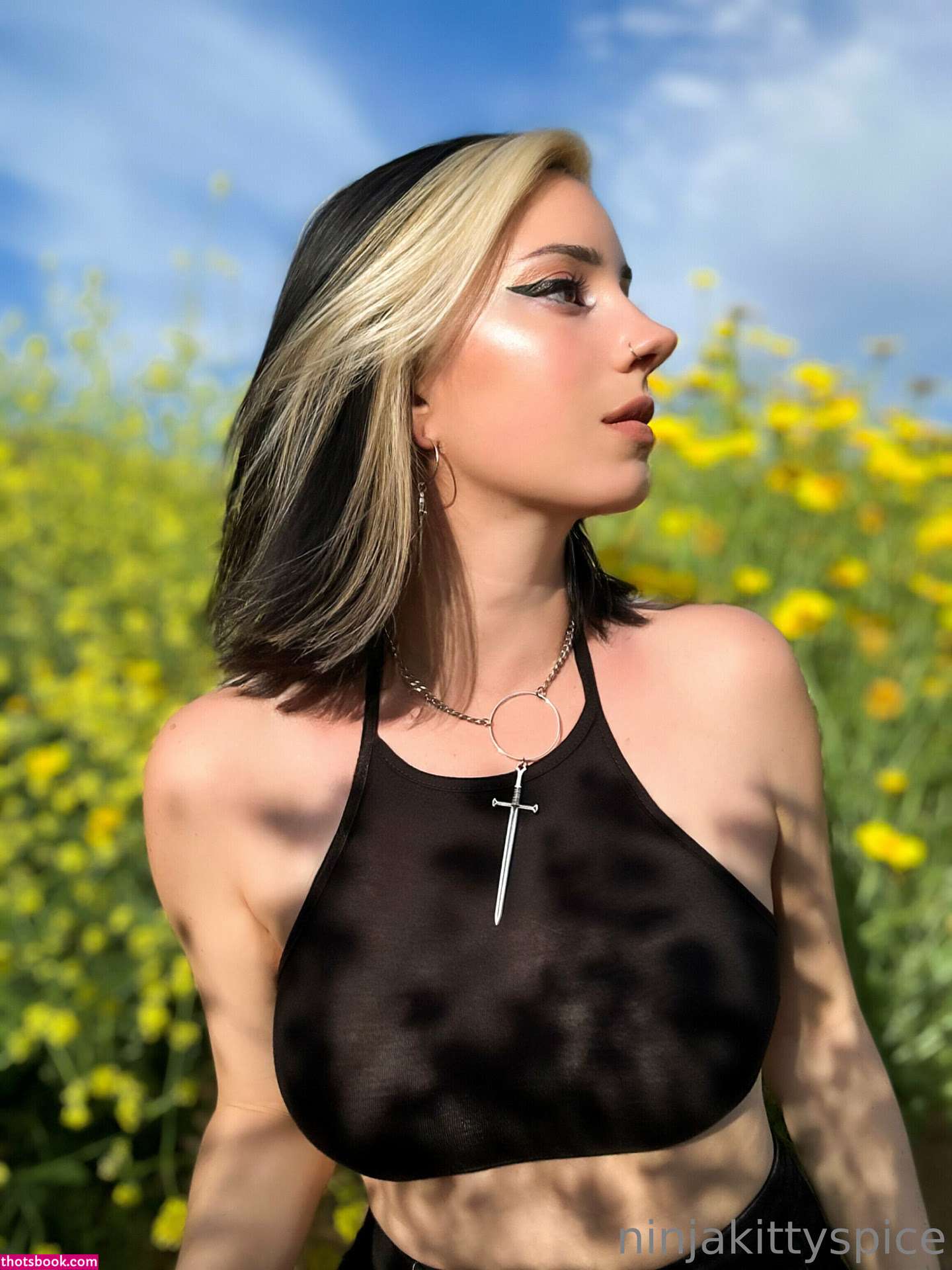 Hannahrayninja Nude OnlyFans Photos #13 363953