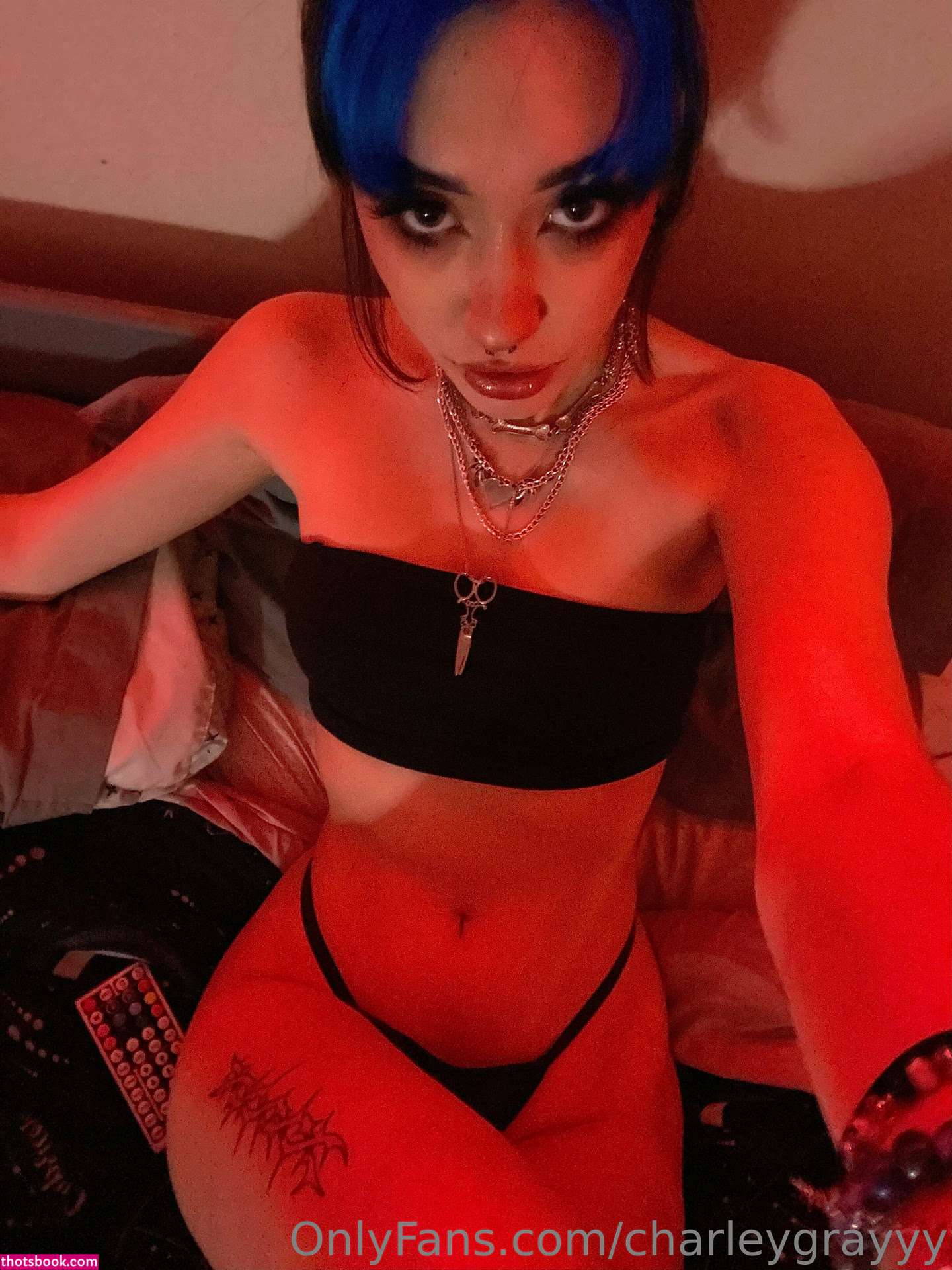 charleygrayyy Nude OnlyFans Photos #2 364439