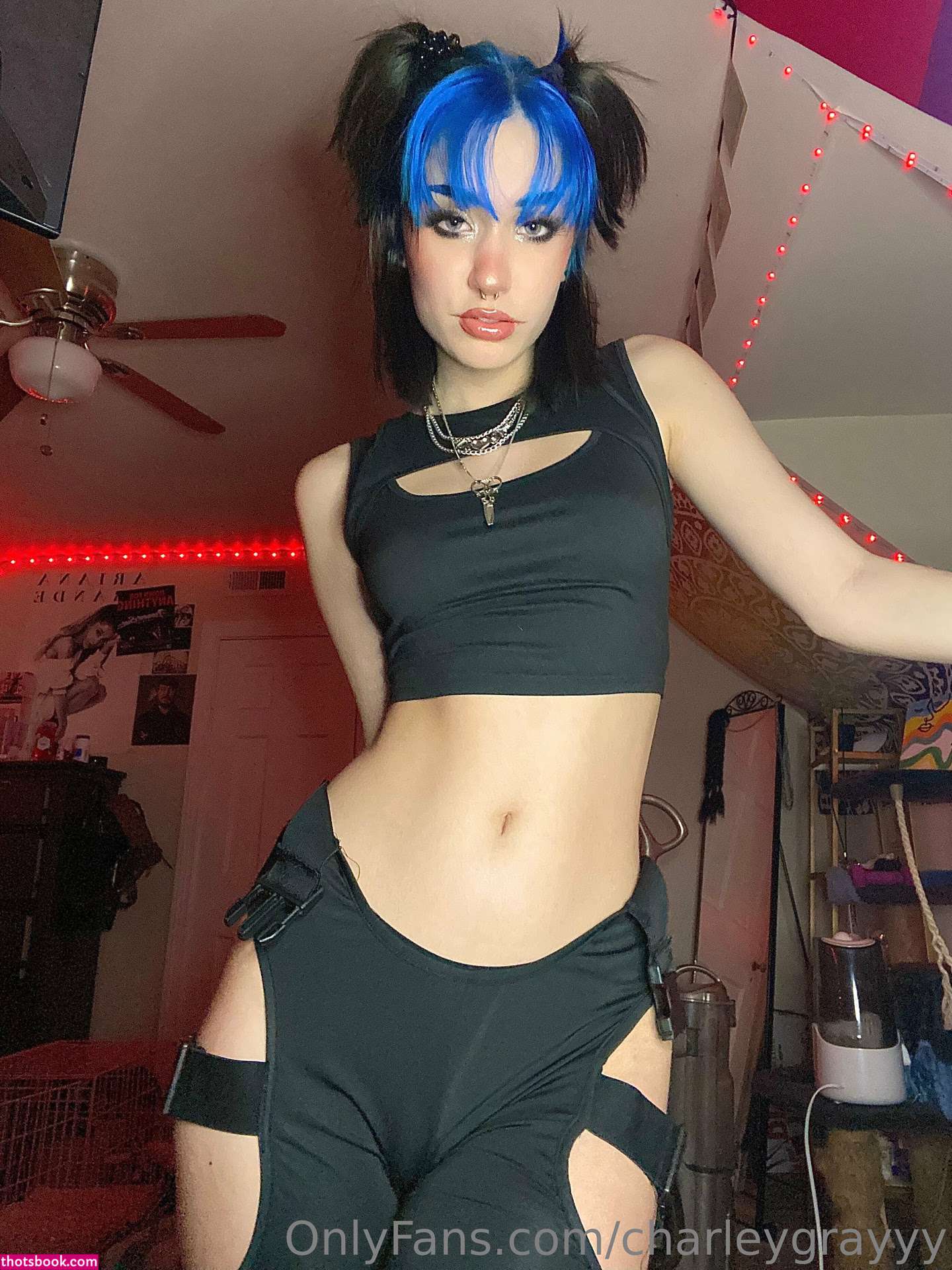 charleygrayyy Nude OnlyFans Photos #3 364449