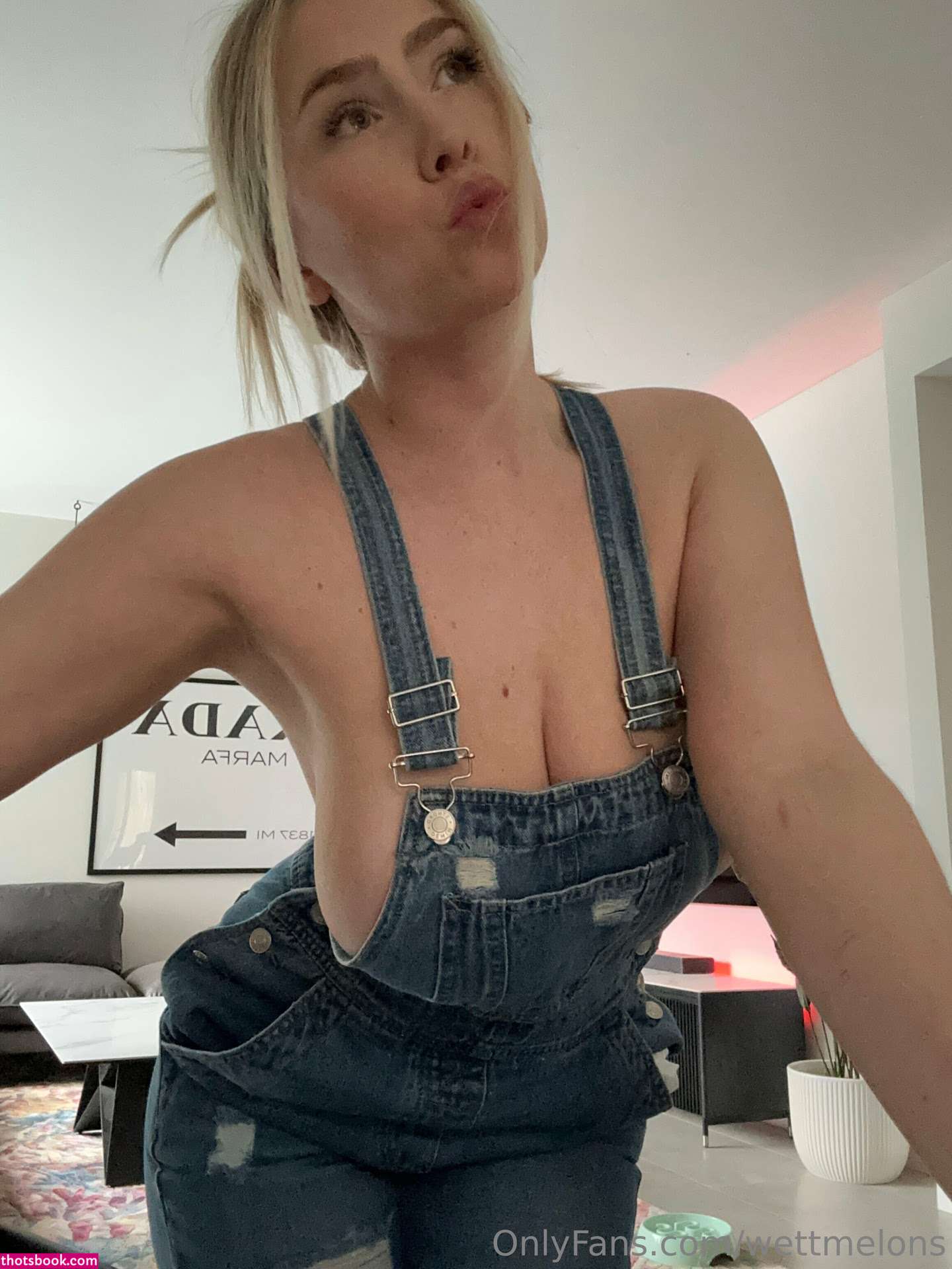 WettMelons Nude OnlyFans Photos #21 364970