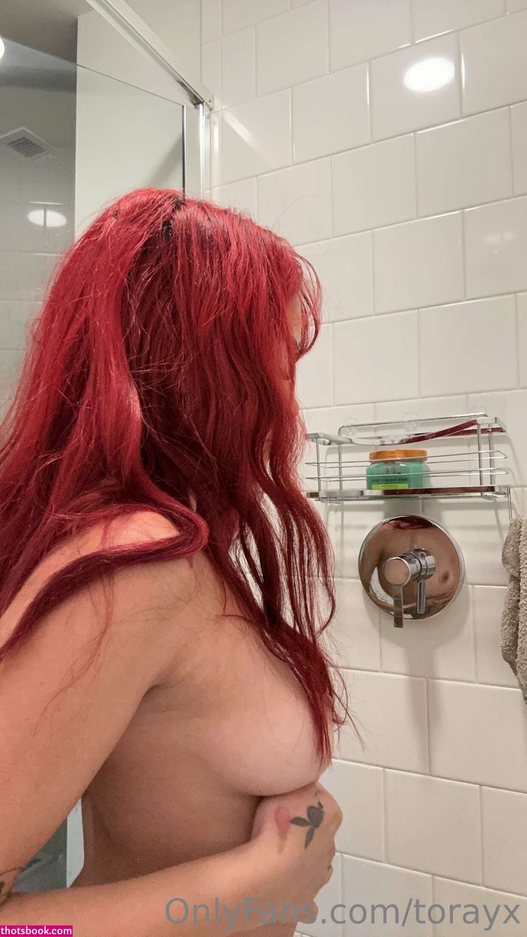 Torayx Nude OnlyFans Photos #13 1116810