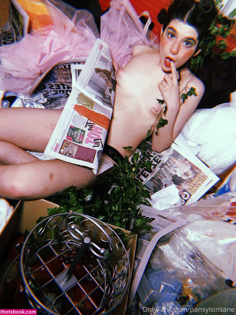 Camille Alexander Pansyisinsane Nude OnlyFans Photos #9 1133605