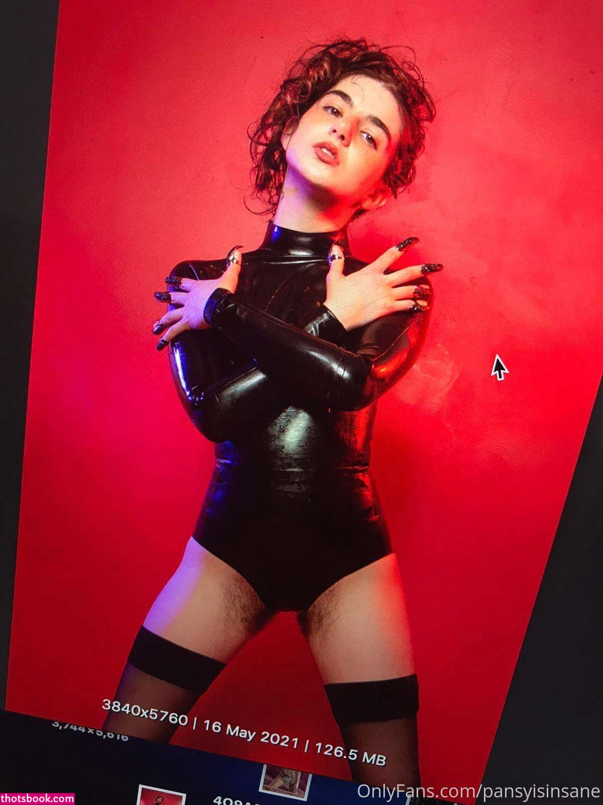 Camille Alexander Pansyisinsane Nude OnlyFans Photos #13 1133636