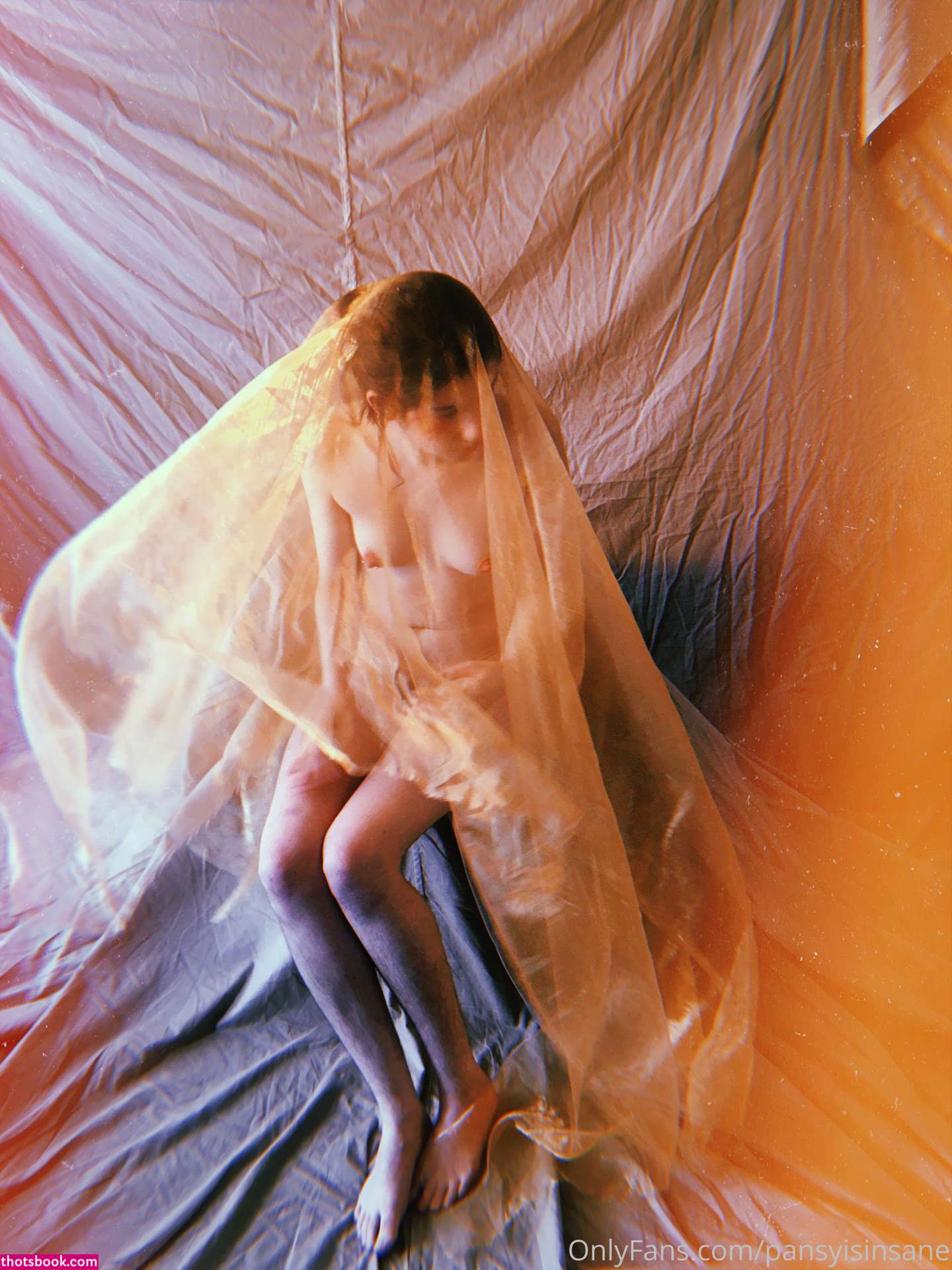 Camille Alexander Pansyisinsane Nude OnlyFans Photos #15 1133655