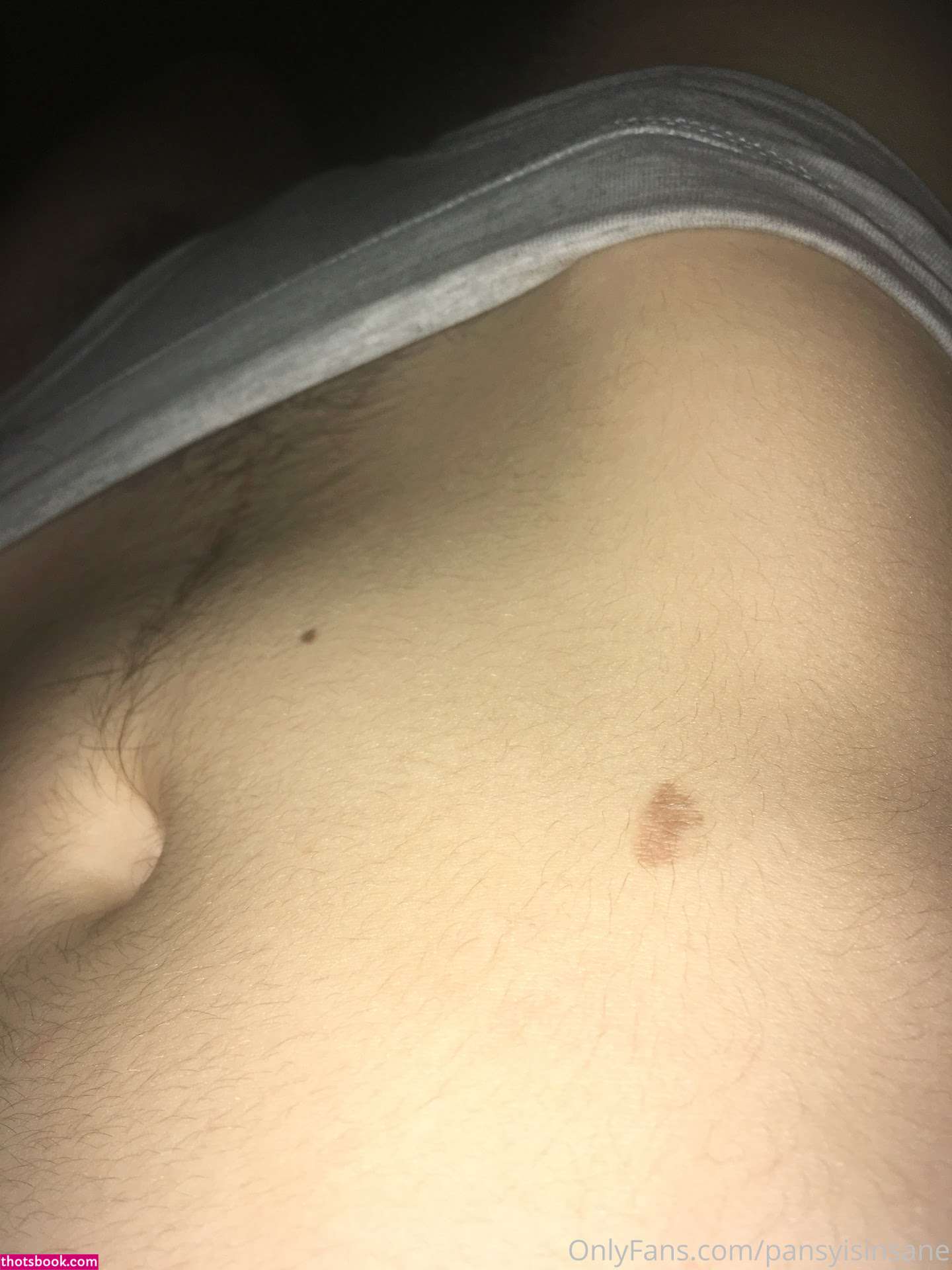 Camille Alexander Pansyisinsane Nude OnlyFans Photos #15 1133677