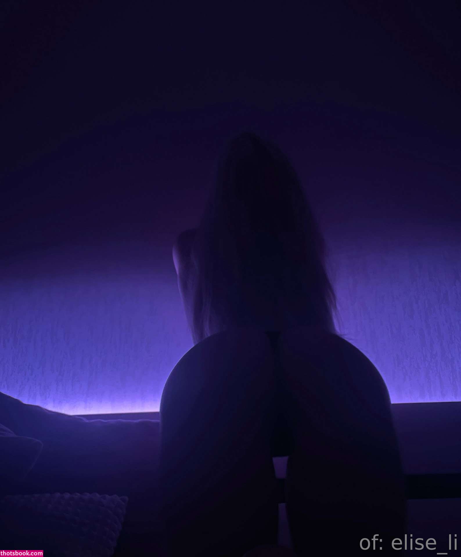 elise li Nude OnlyFans Photos #8 1133745