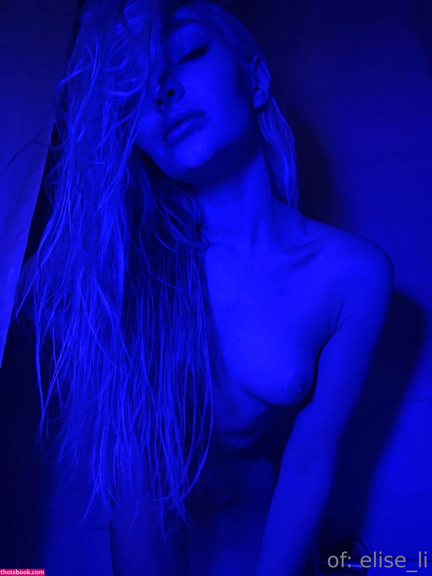 elise li Nude OnlyFans Photos #10 1133764