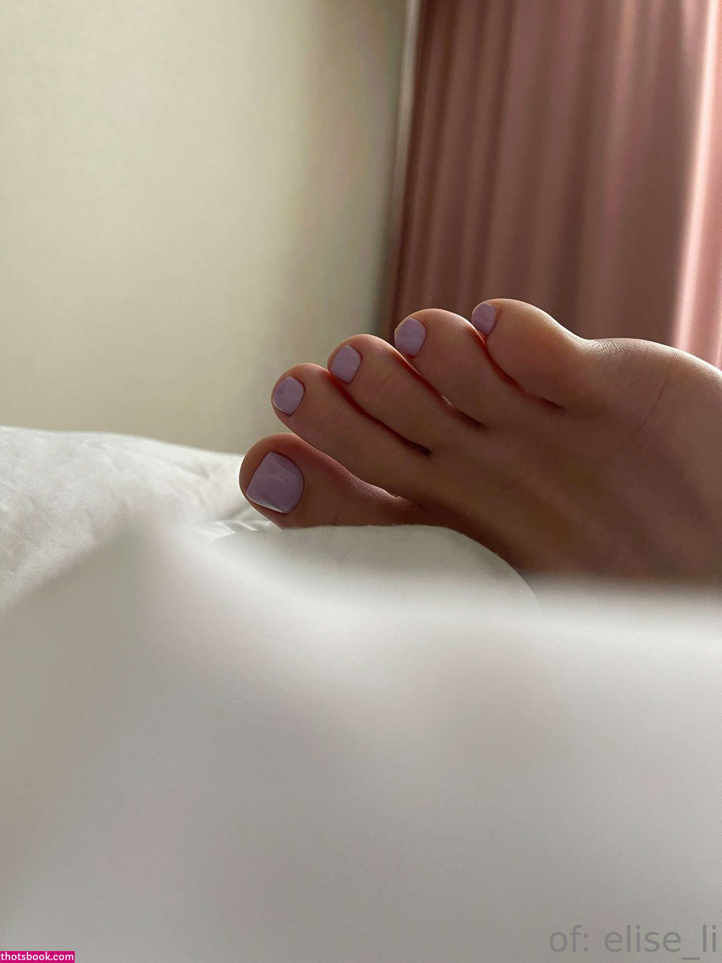 elise li Nude OnlyFans Photos #11 1133770