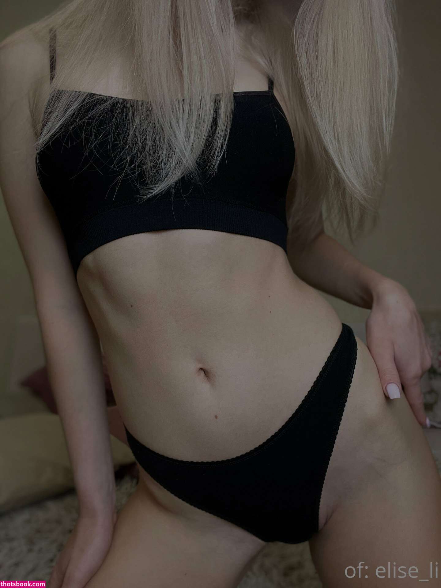 elise li Nude OnlyFans Photos #11 1133779