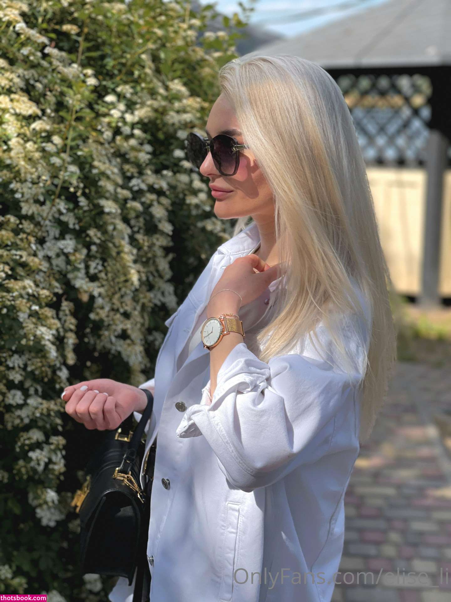 elise li Nude OnlyFans Photos #14 1133801