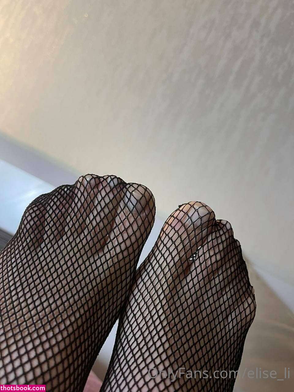 elise li Nude OnlyFans Photos #15 1133838