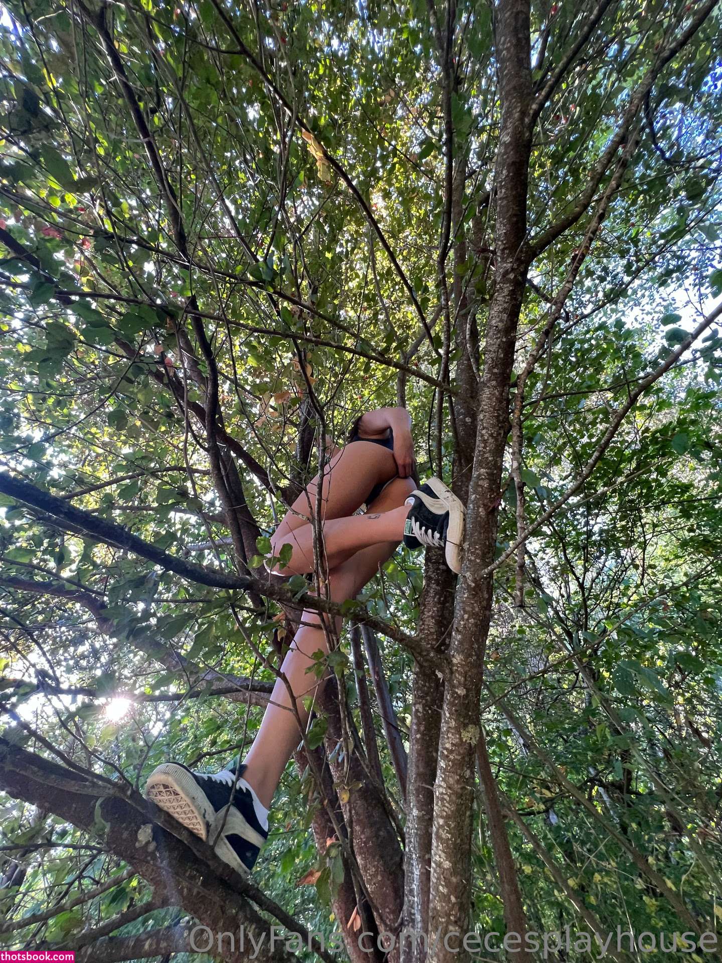 cecesplayhouse Nude OnlyFans Photos #15 1154958