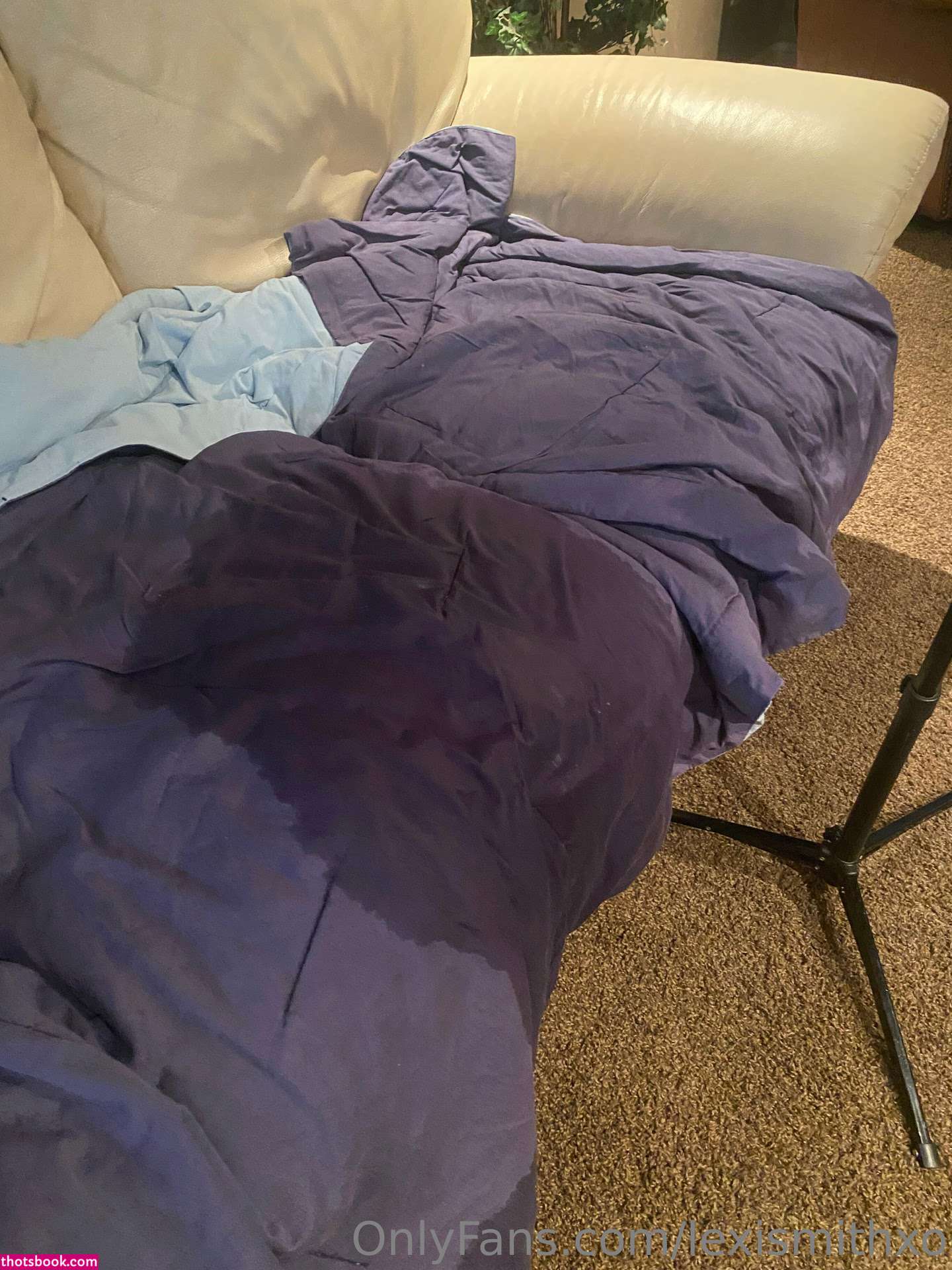 notlexismith makemebegforit Nude OnlyFans Photos #10 1155799