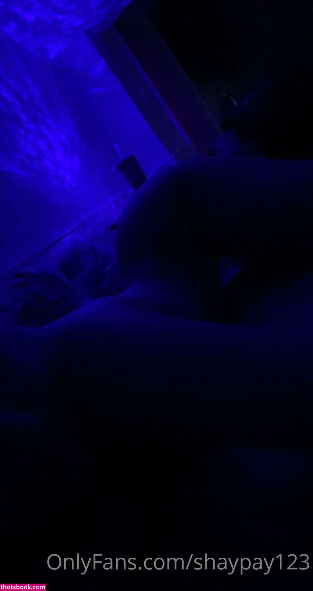 Shayna Laliberte Shaynalaliberte Shayshaypaige Shaypay123 Nude OnlyFans Photos #5 1174555