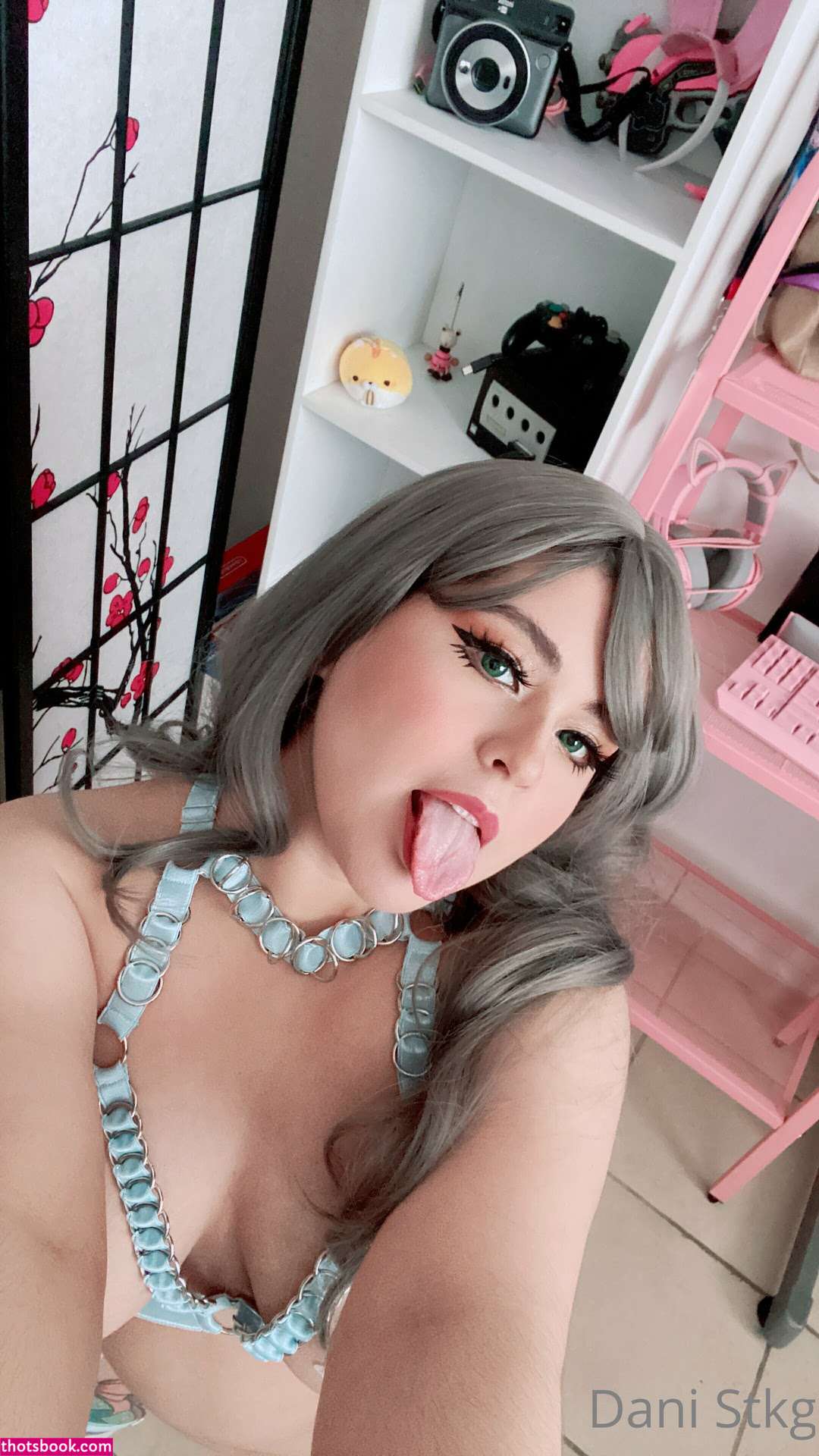 Stockingcos Dani Stocking Nude OnlyFans Photos #5 1174613