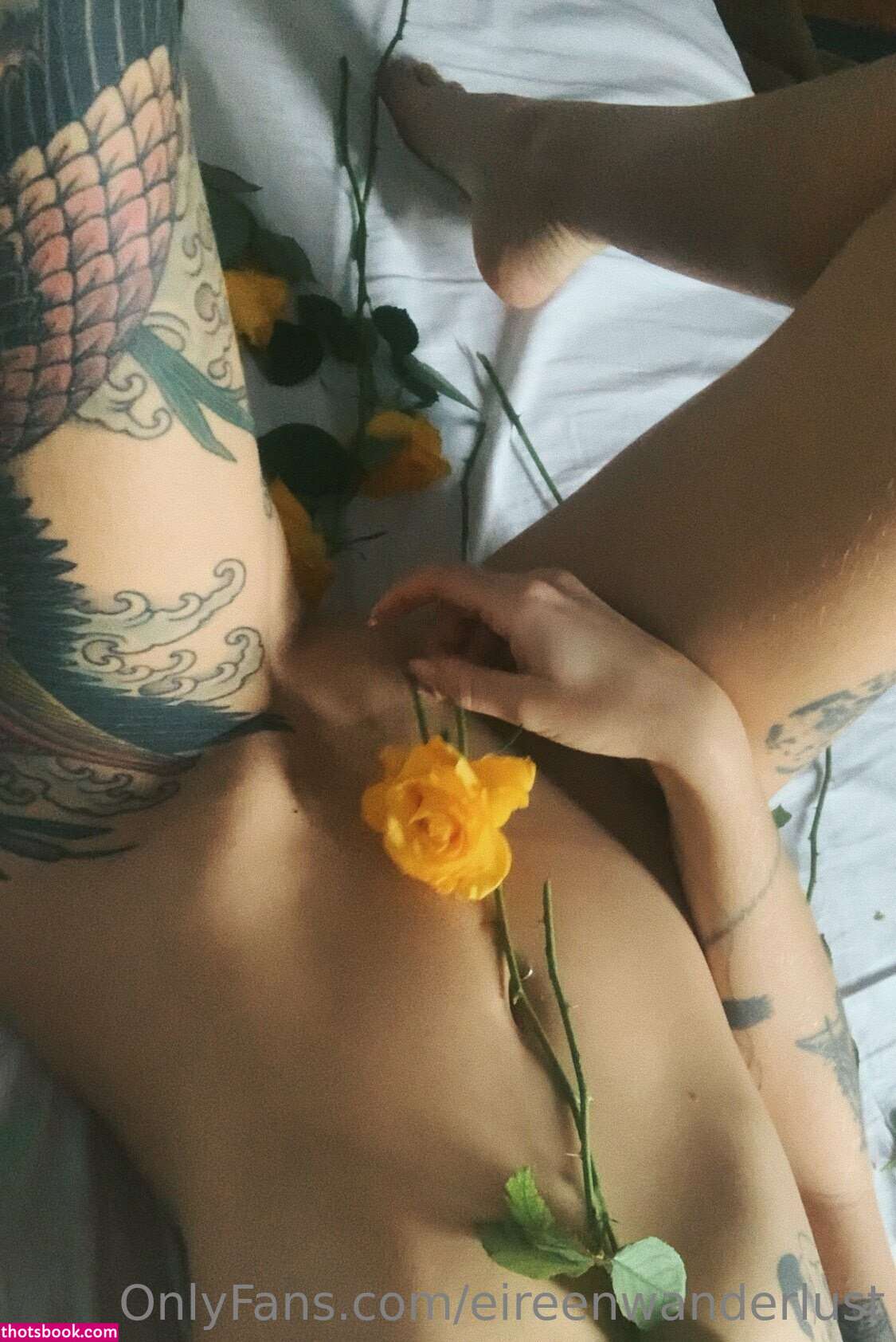 Panettonevirginia eireenwanderlust Nude OnlyFans Photos #1 1129236