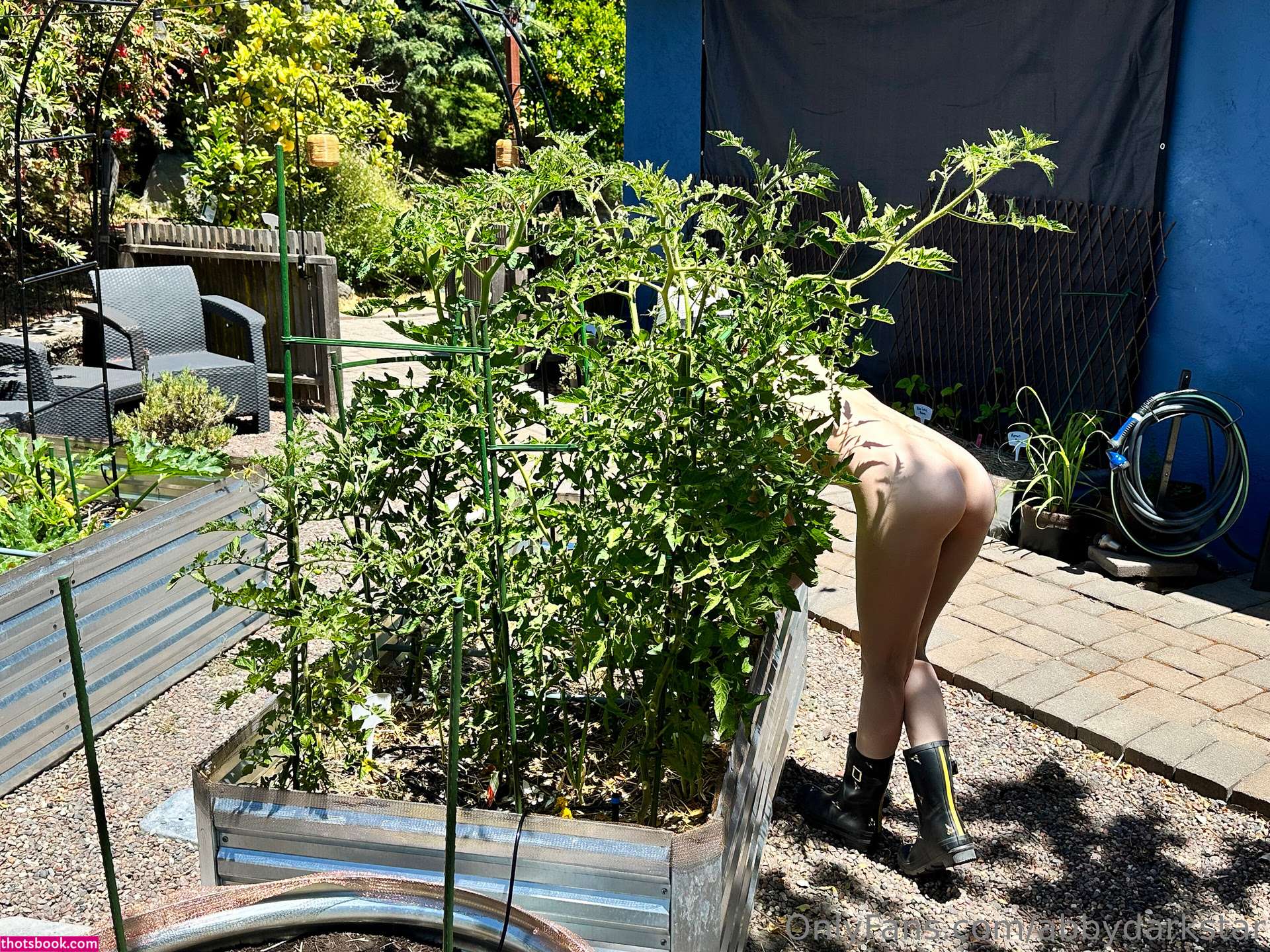 Abby Darkstar Nude OnlyFans Photos #21 1150078