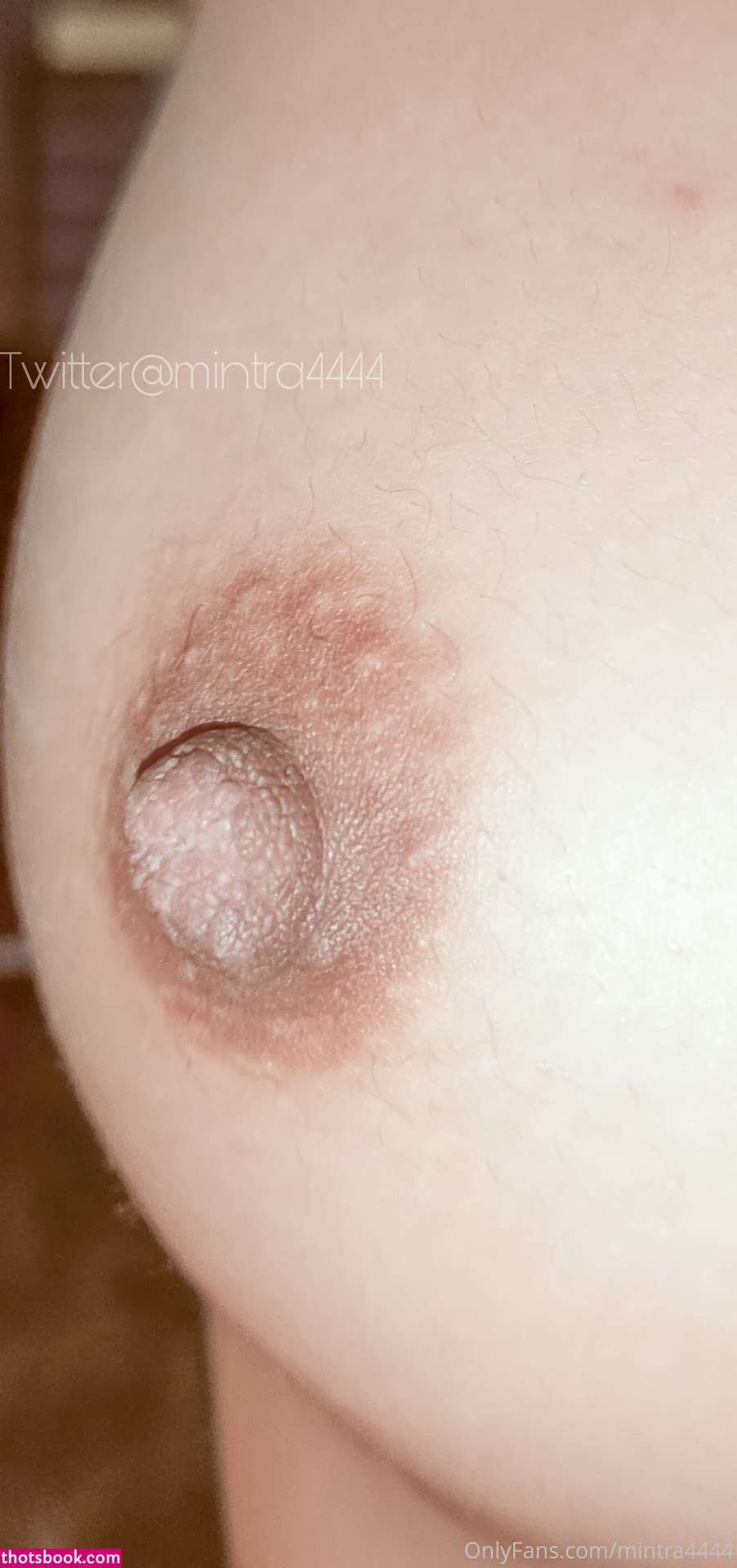 mintra4444 Nude OnlyFans Photos #3 1111152