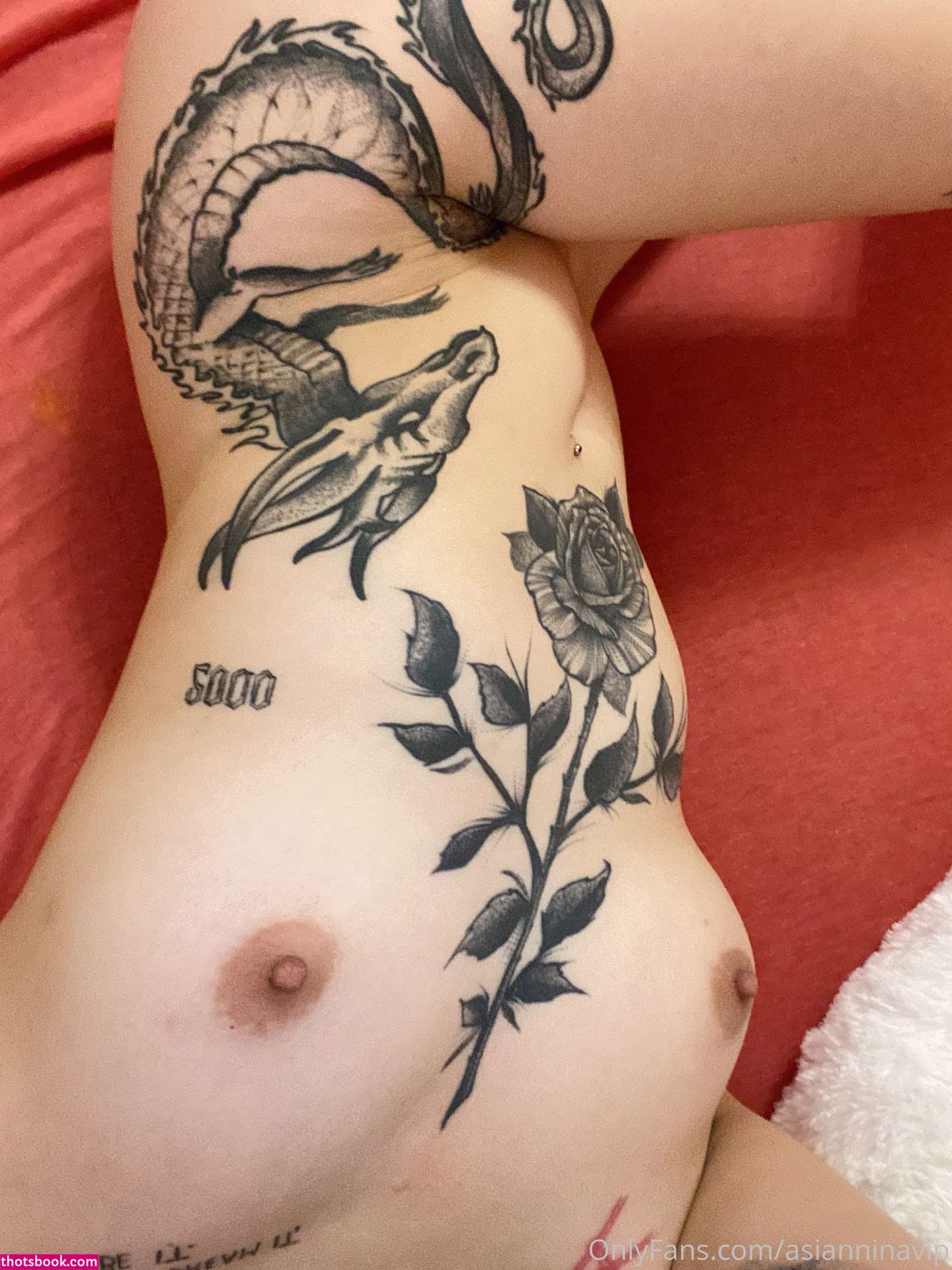 Asianninavip Nude OnlyFans Photos #10 1113807