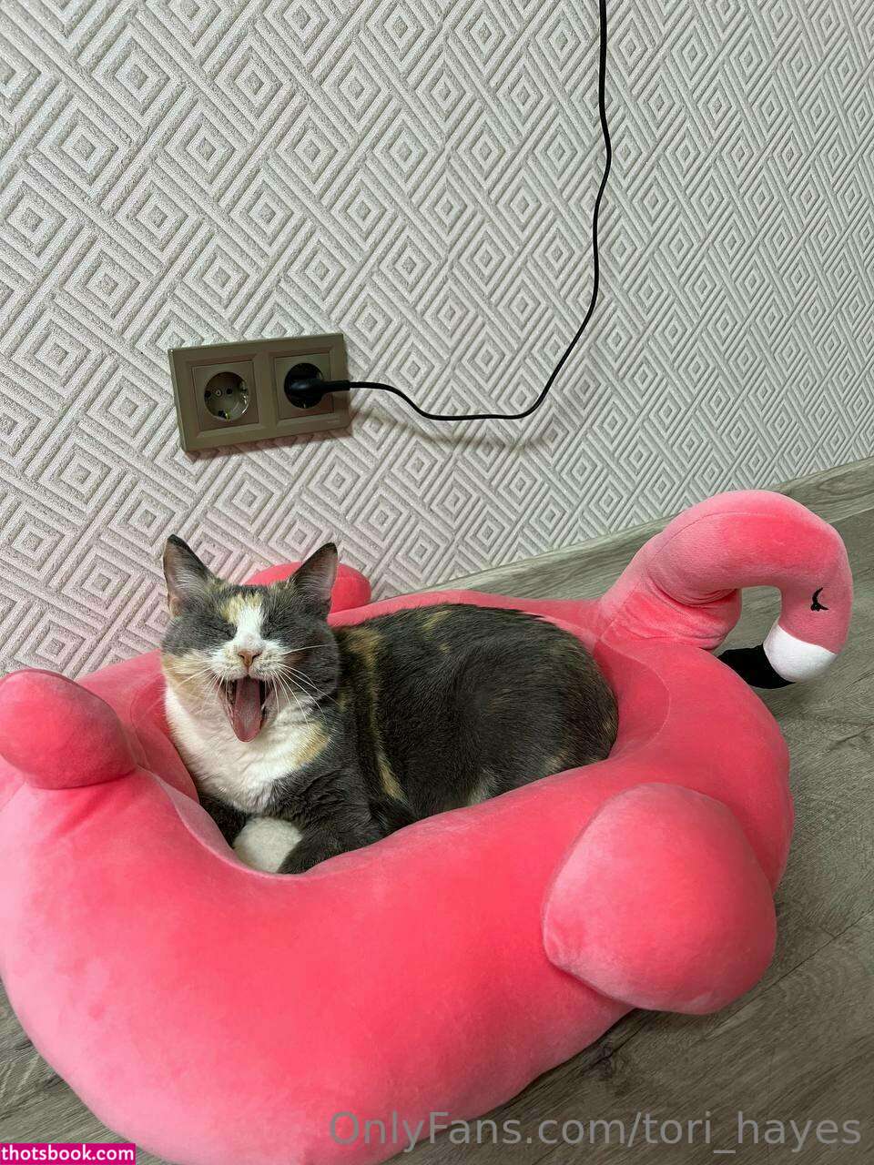 Tori Hayes Nude OnlyFans Photos #15 1114859