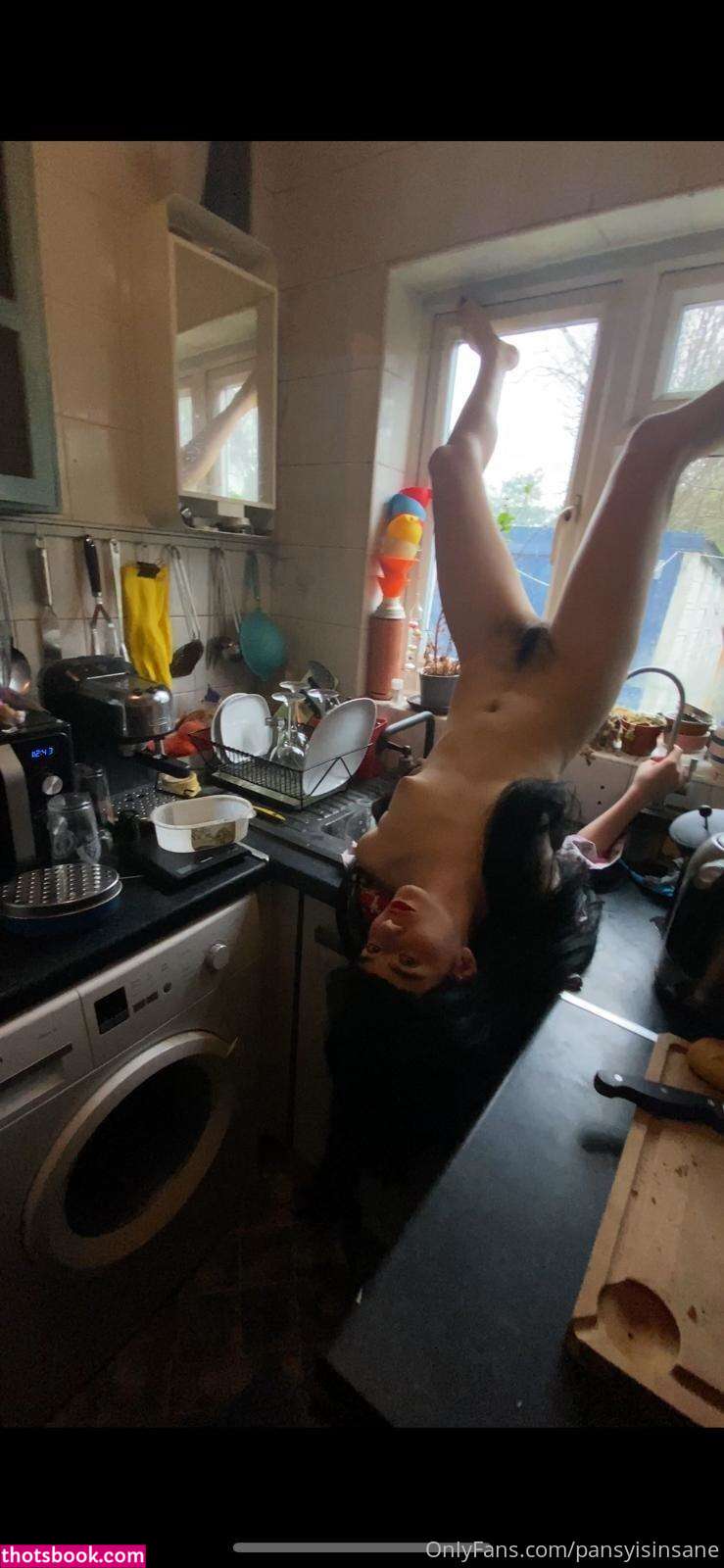 Camille Alexander Pansyisinsane Nude OnlyFans Photos #2 1132114