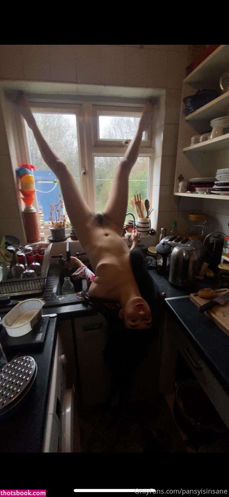 Camille Alexander Pansyisinsane Nude OnlyFans Photos #2 1132119