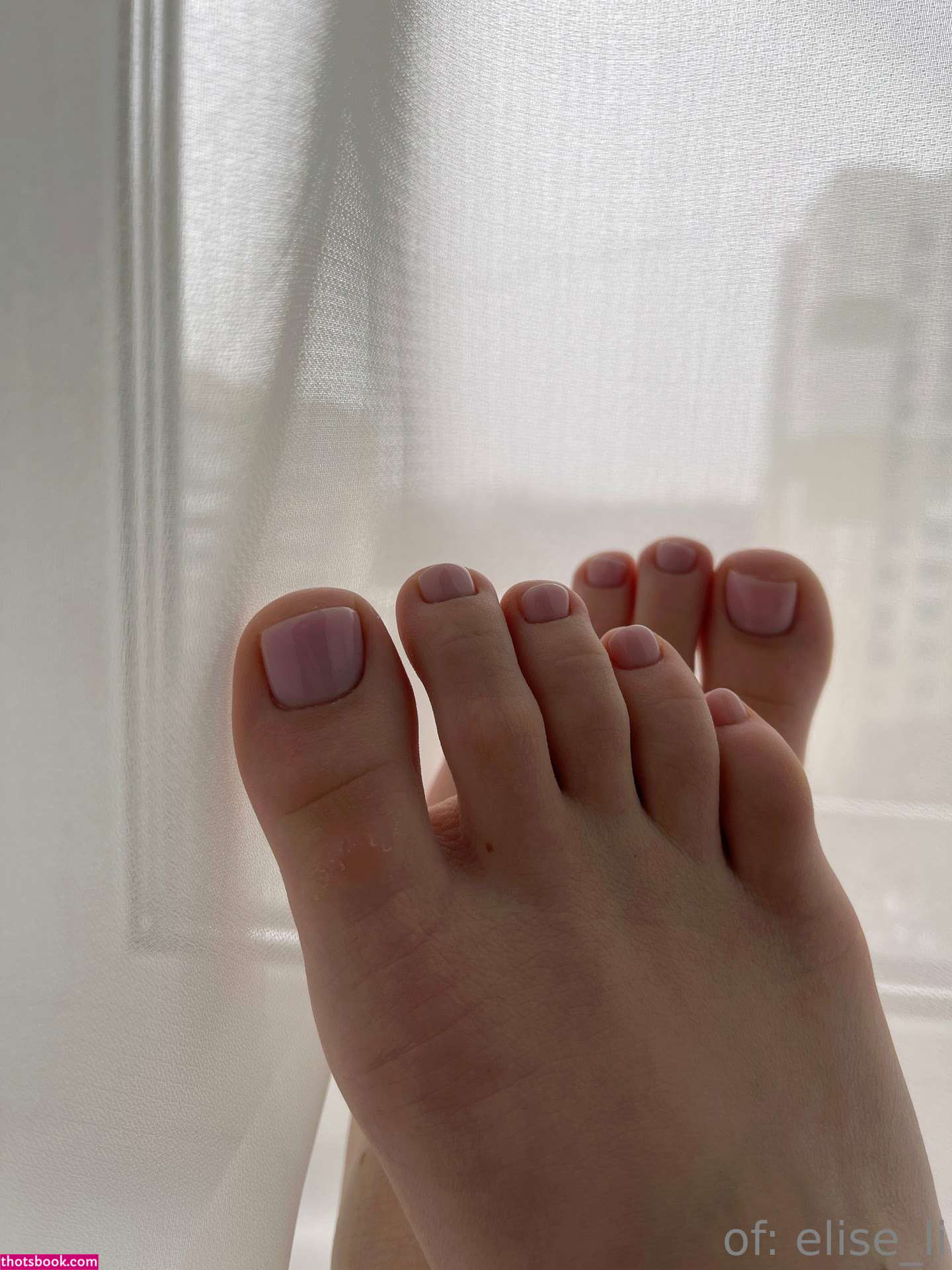 elise li Nude OnlyFans Photos #5 1132298