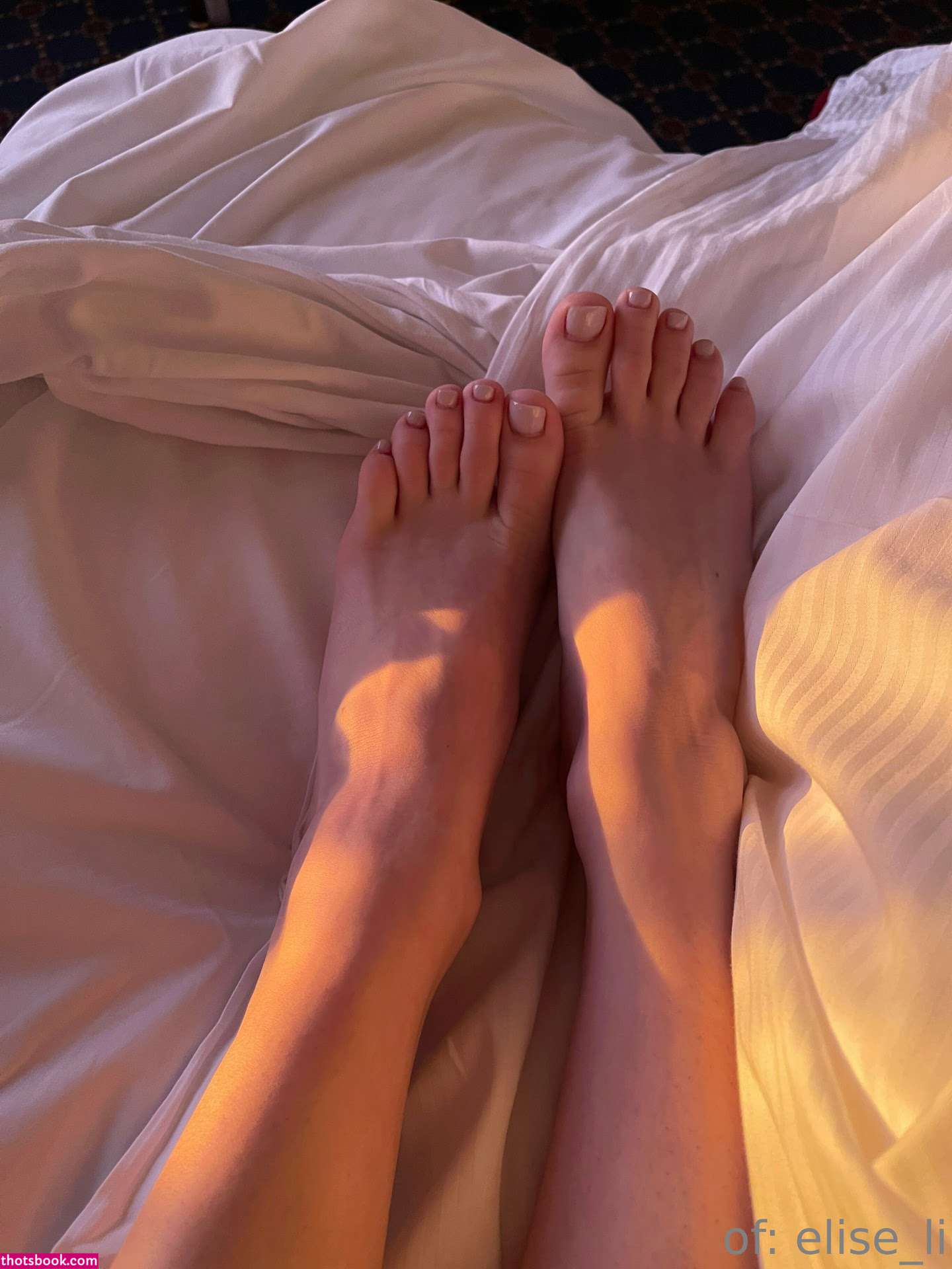 elise li Nude OnlyFans Photos #6 1132301