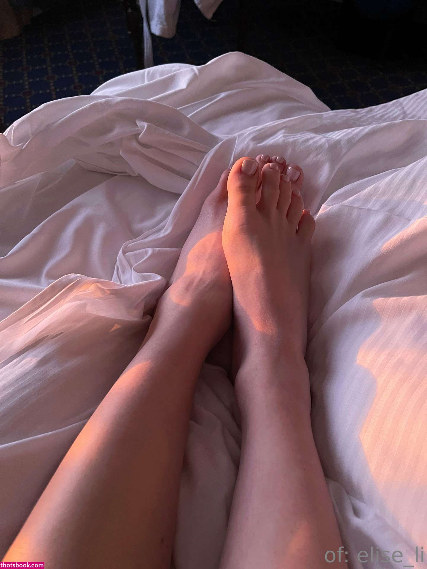 elise li Nude OnlyFans Photos #6 1132308