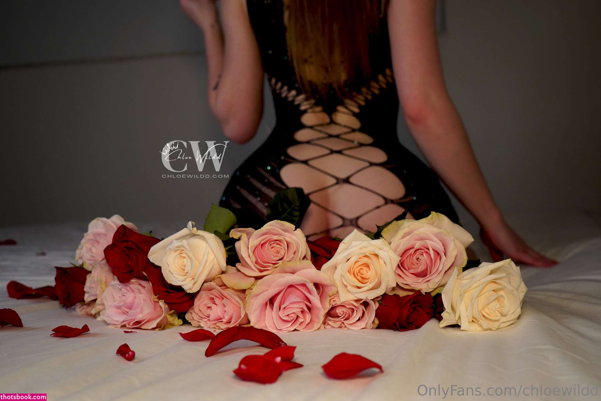 Chloe Chloe Wildd Nude OnlyFans Photos #11 1172414