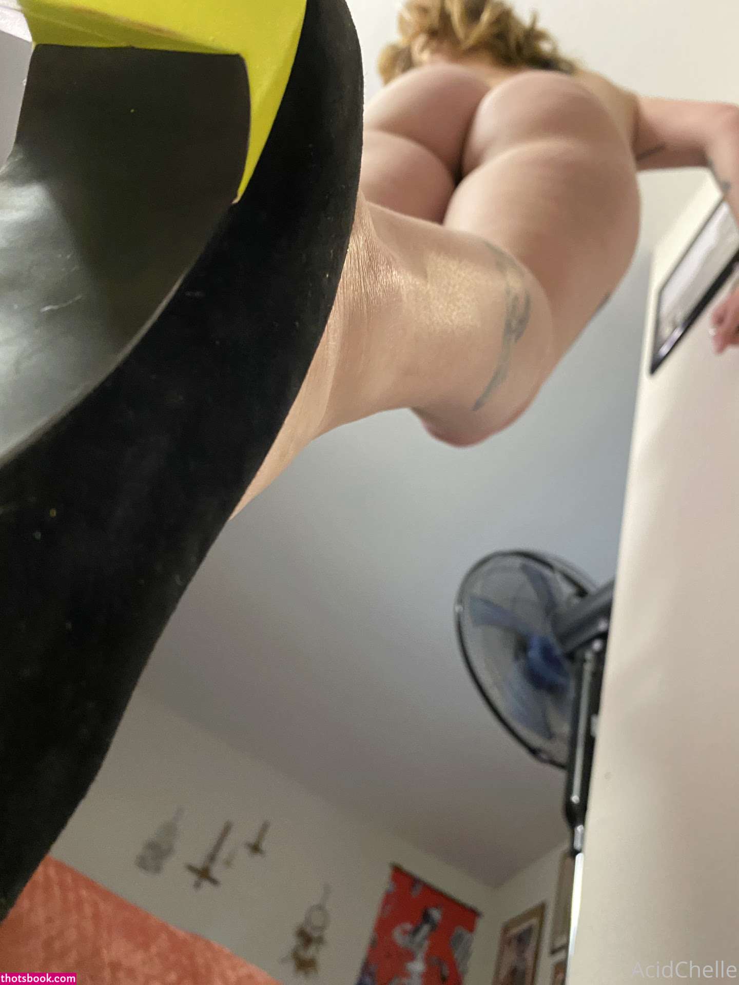 Acidchelle Chelleshock666 Nude OnlyFans Photos #4 1107891