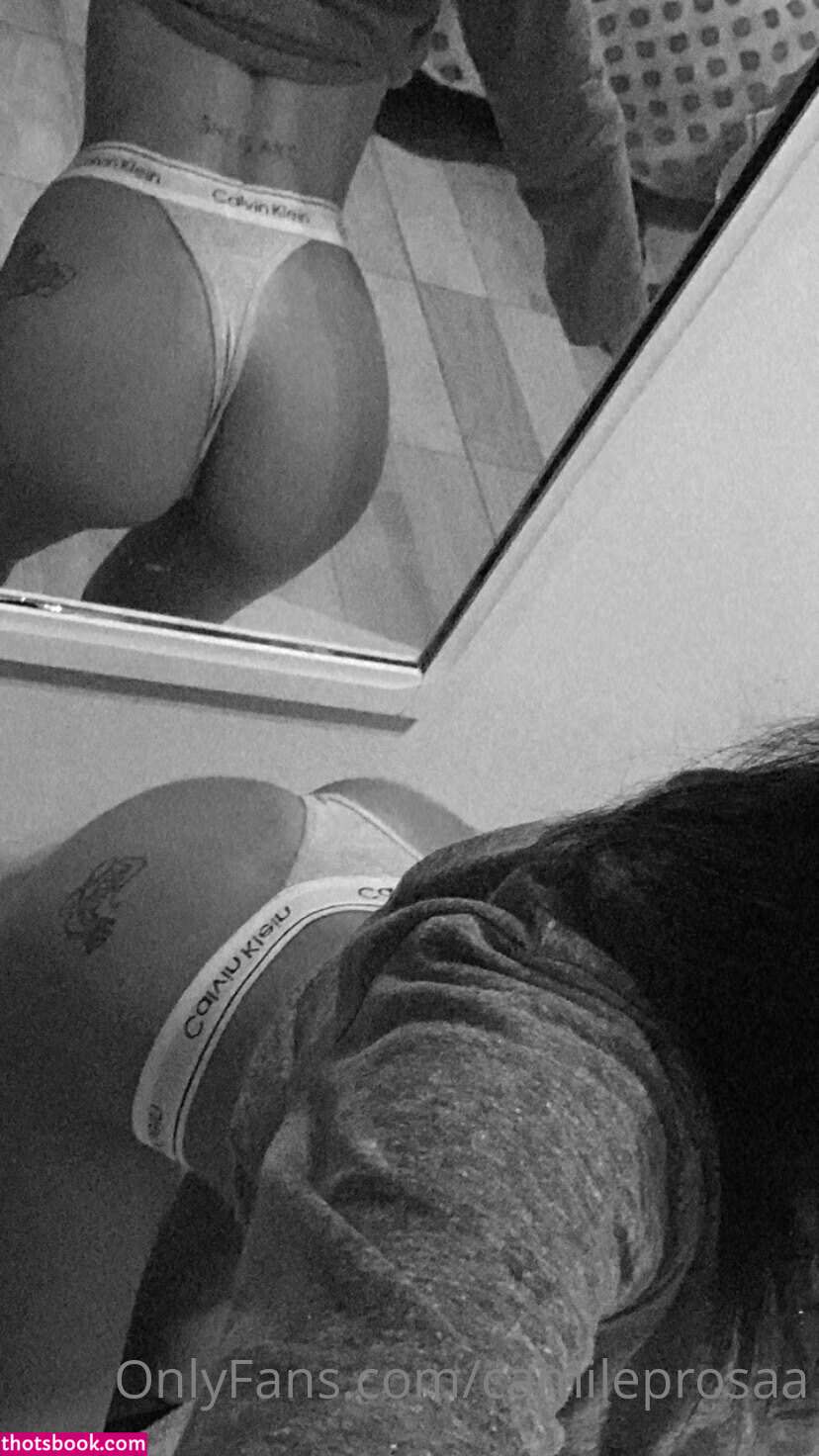 Camileprosaa Camileprosa Nude OnlyFans Photos #7 1107962