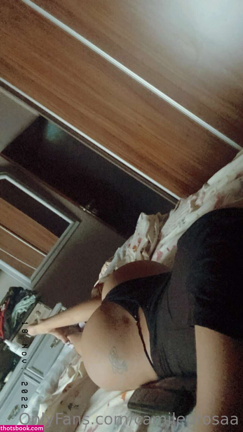 Camileprosaa Camileprosa Nude OnlyFans Photos #7 1107964