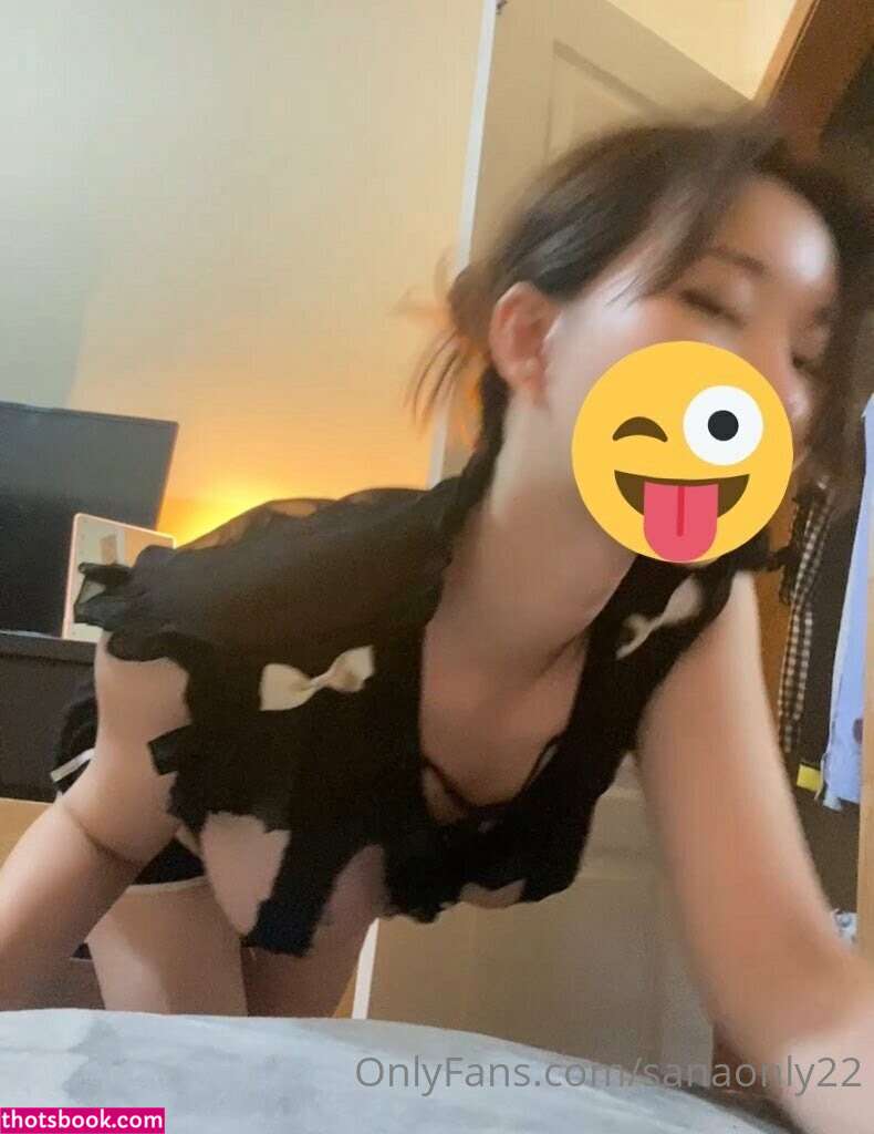 sanaonly22 emonchichi2 Nude OnlyFans Photos #10 1164432