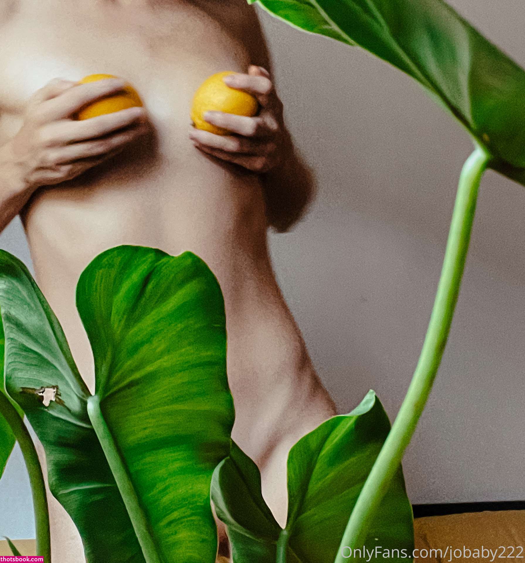 Jobaby222 Nude OnlyFans Photos #10 1158541