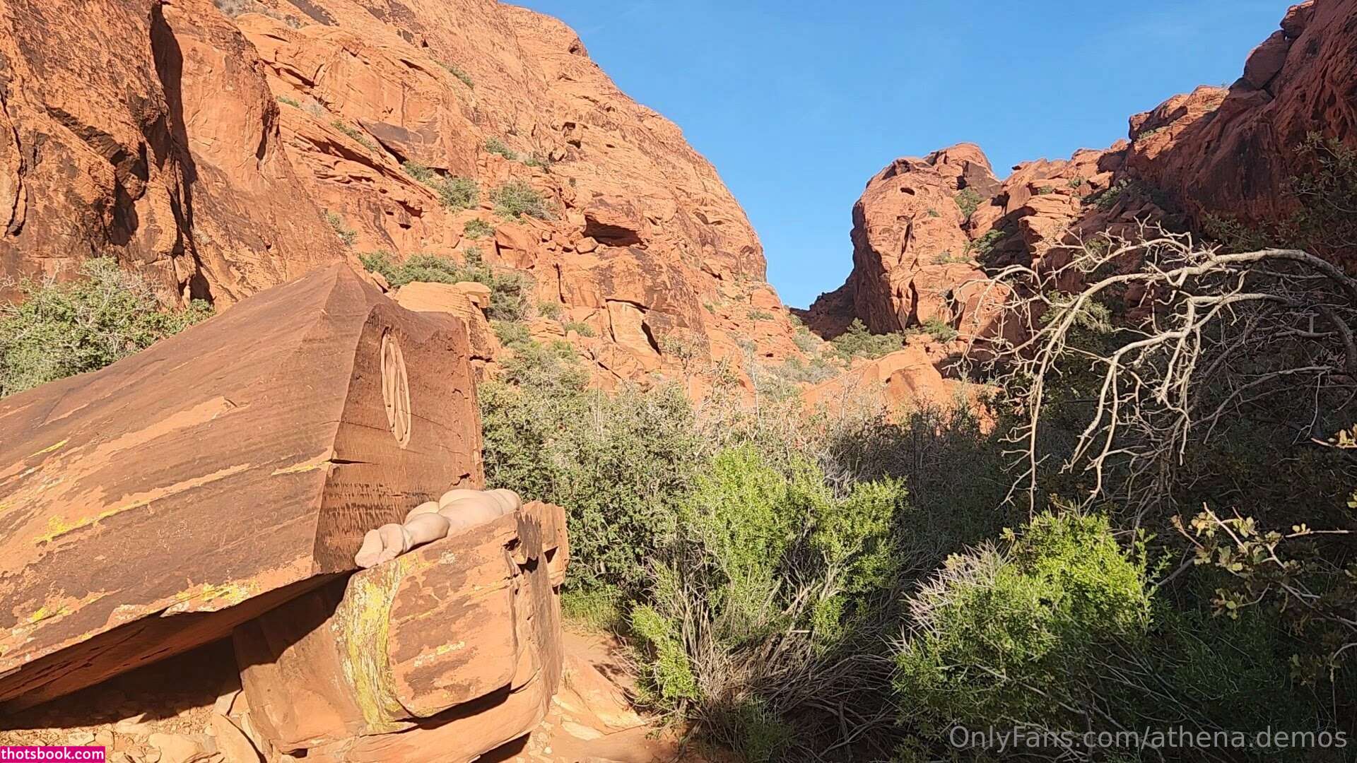 Athena Demos Aunt Athena Nude OnlyFans Photos #5 1176976