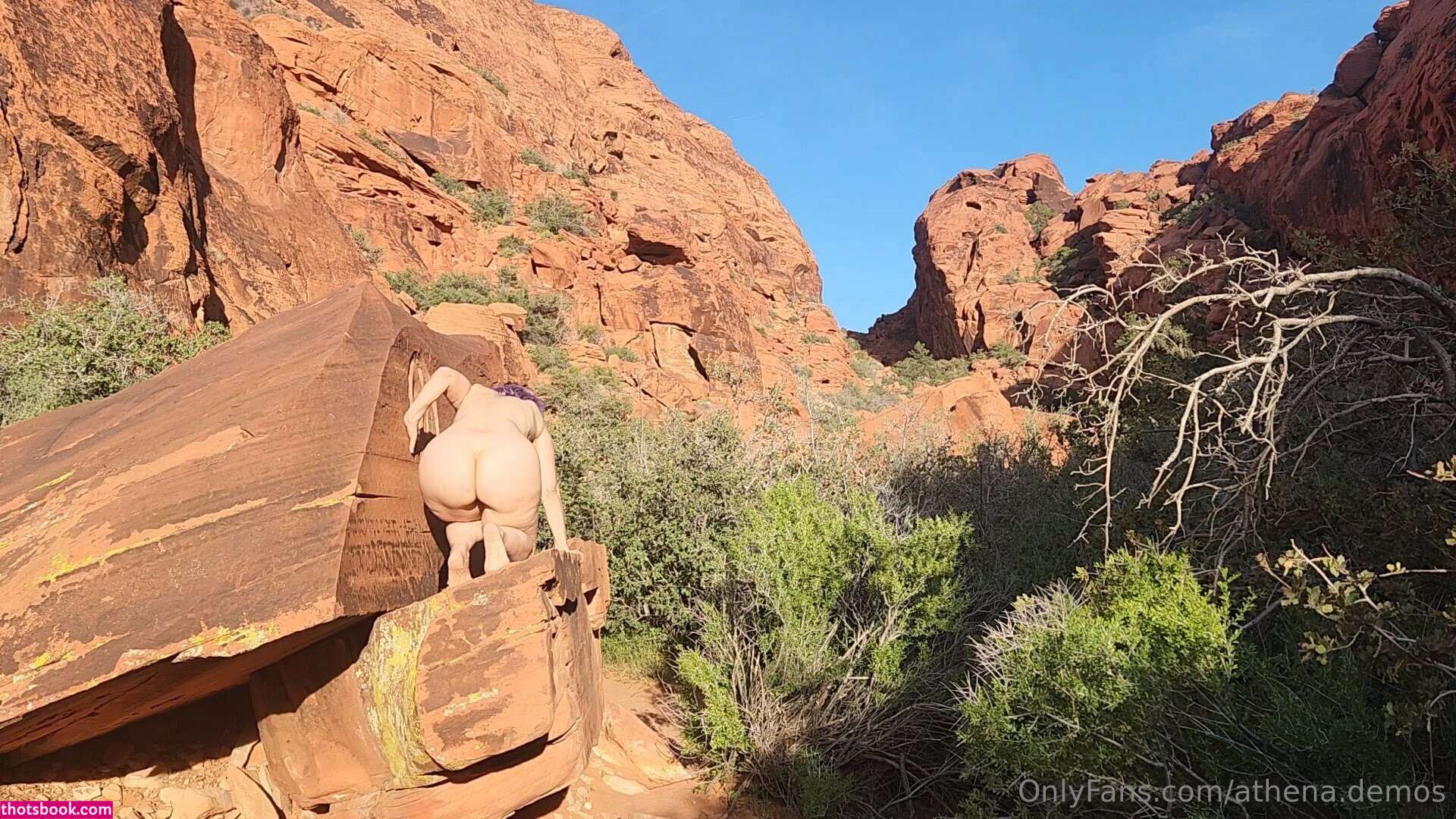 Athena Demos Aunt Athena Nude OnlyFans Photos #5 1176978